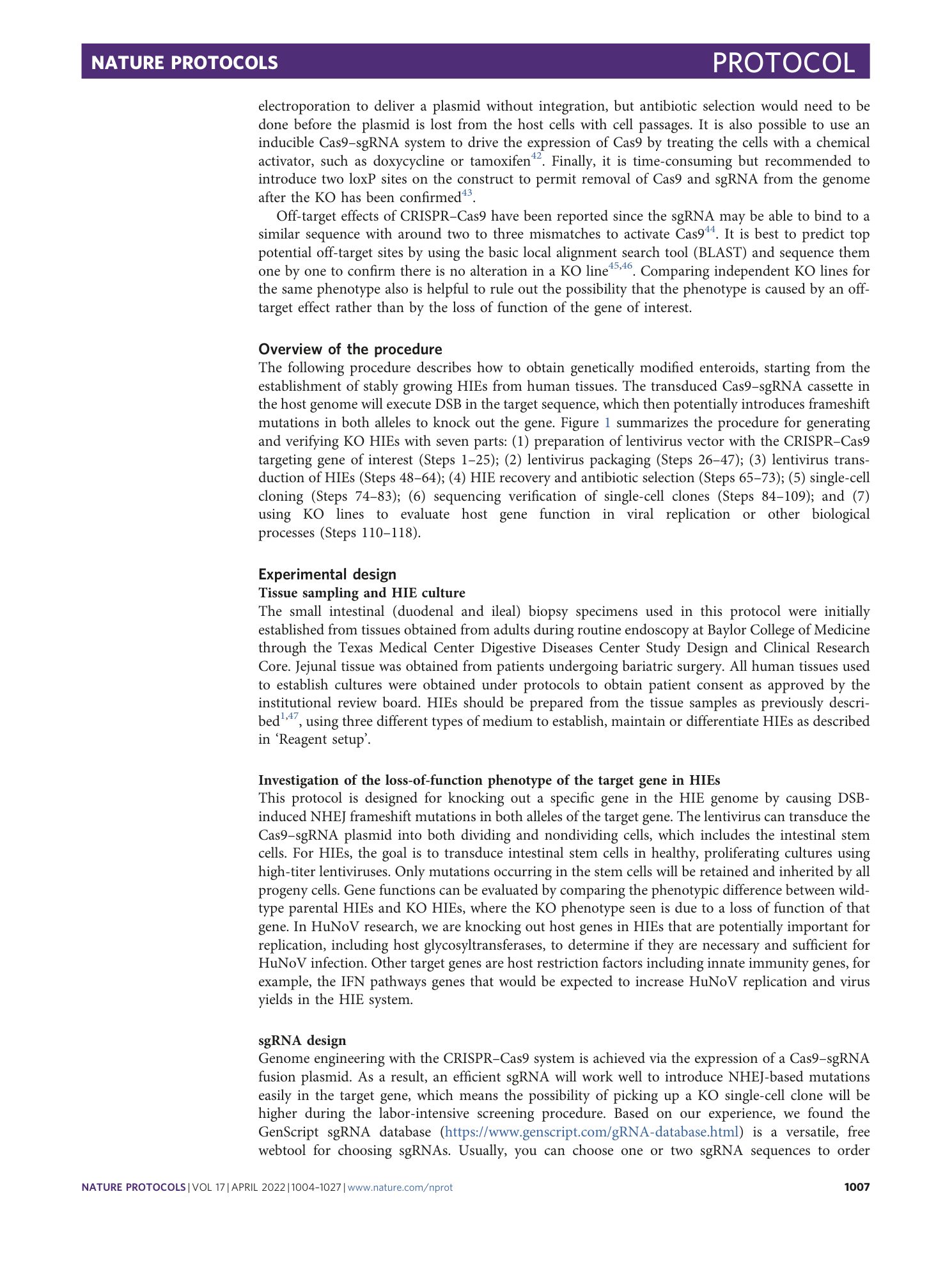 page-4