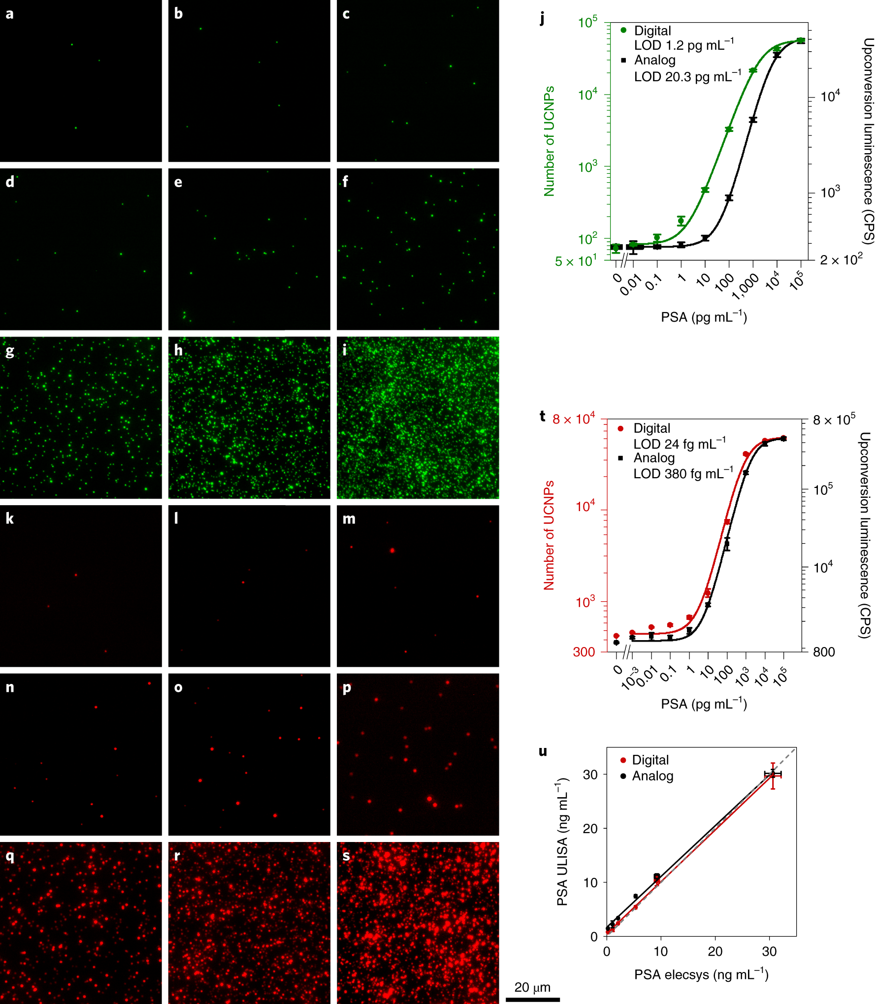 Fig. 10: ULISA of PSA.