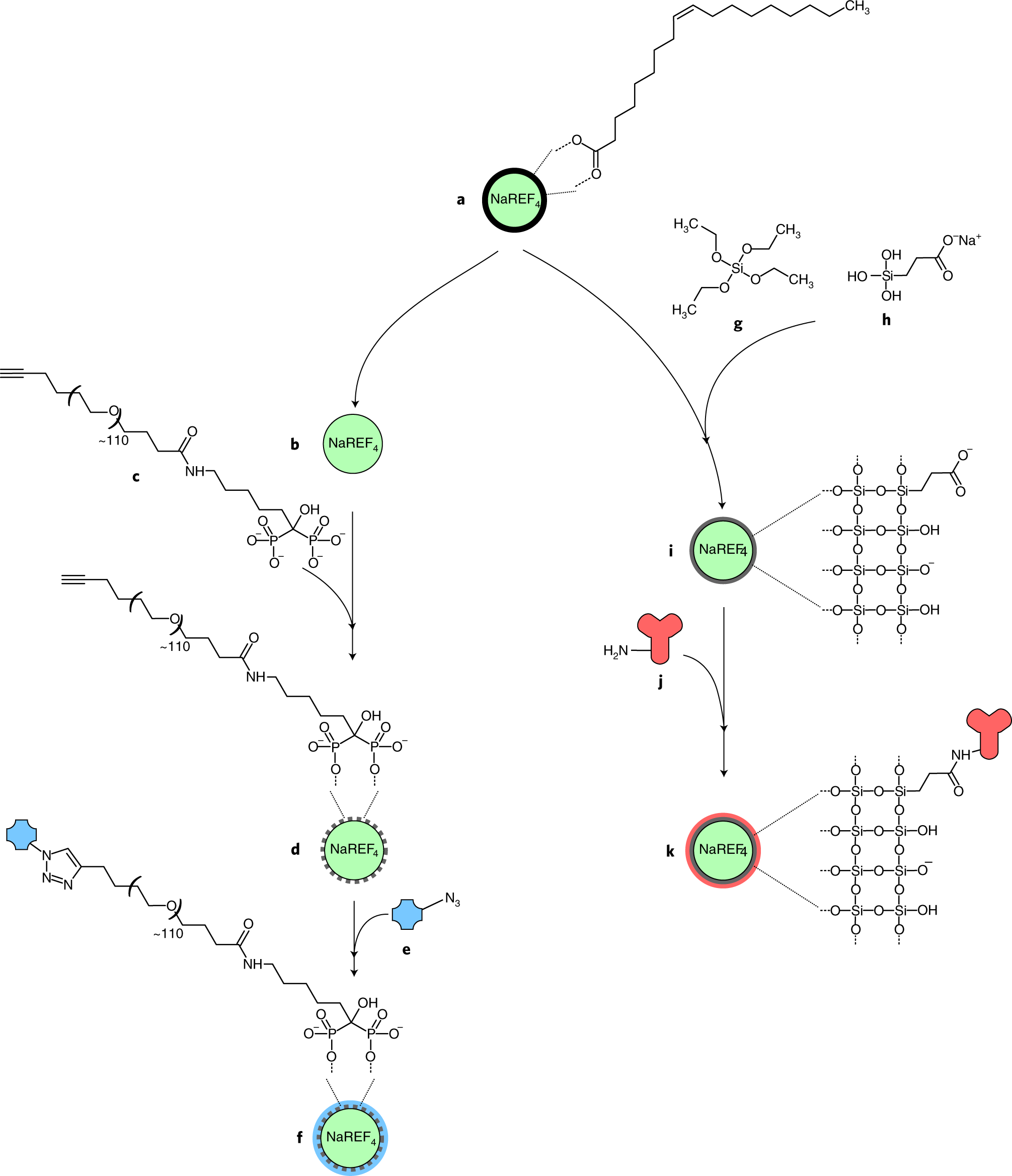 Fig. 1: Two methods for surface modification and bionconjugation of UCNPs.