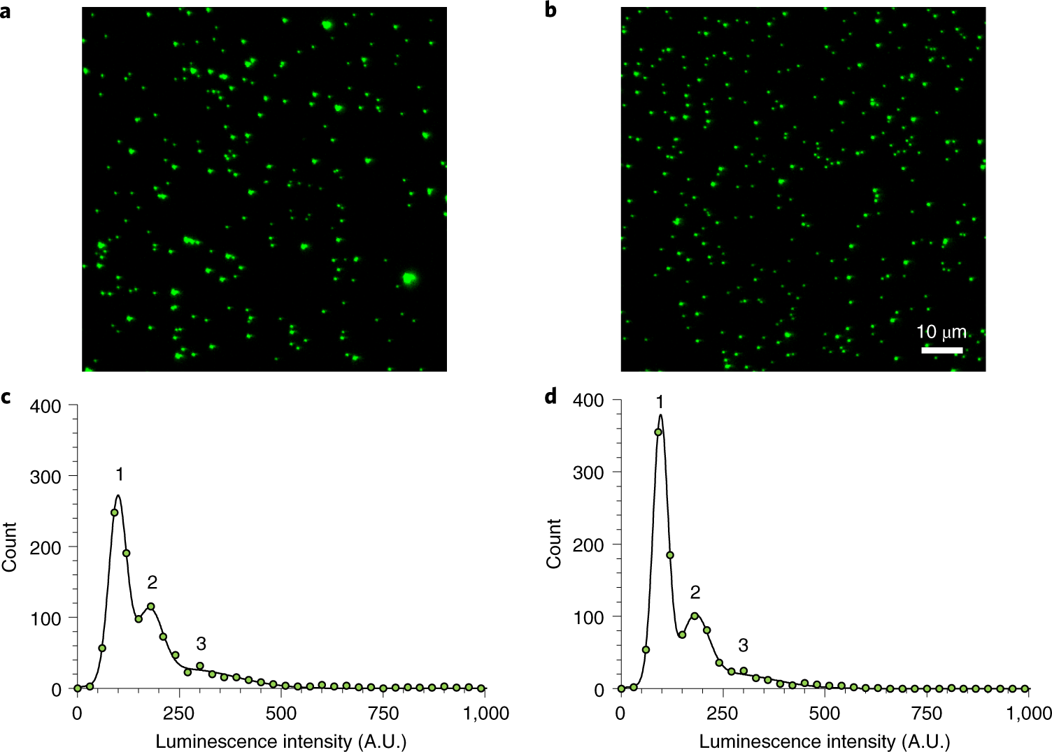Fig. 9: Purification of streptavidin–PEG–UCNPs by sucrose gradient centrifugation and aggregation analysis.