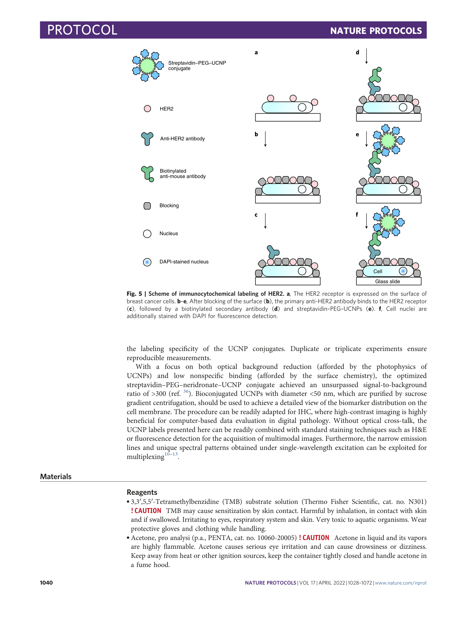 page-13