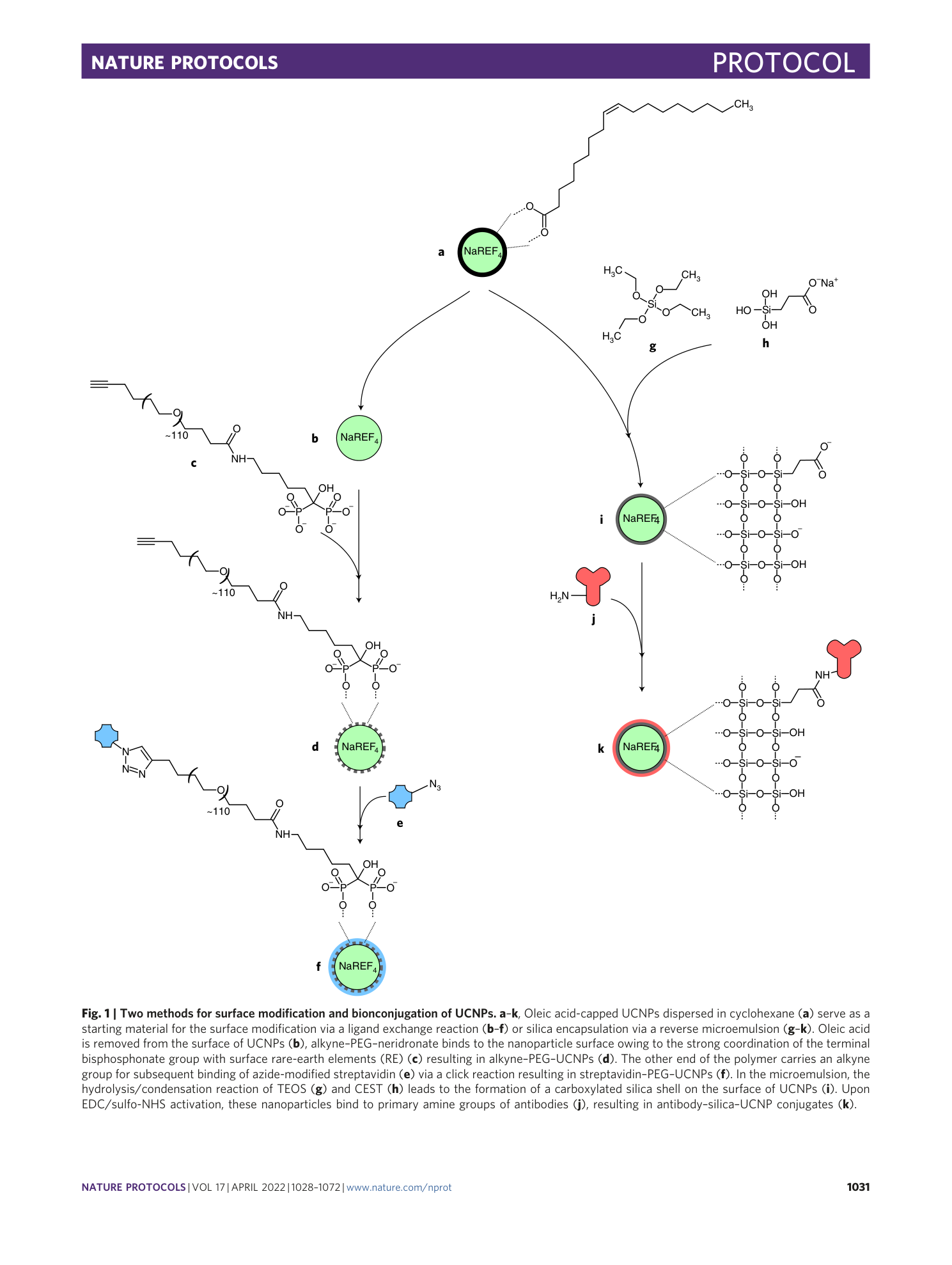 page-4