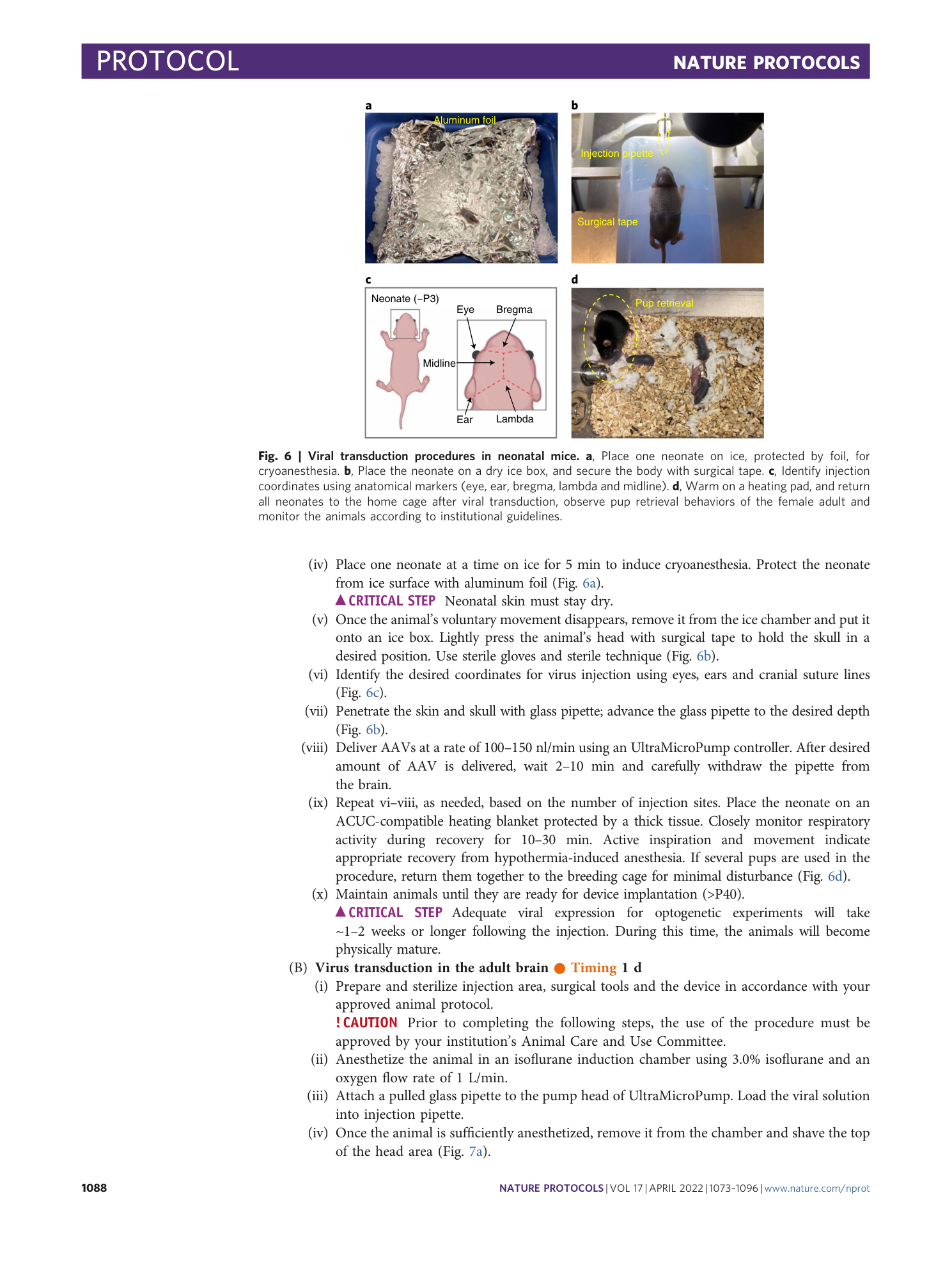 page-16