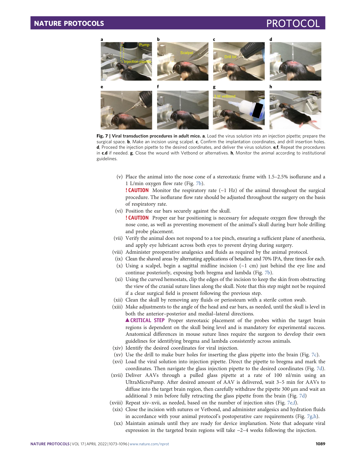 page-17