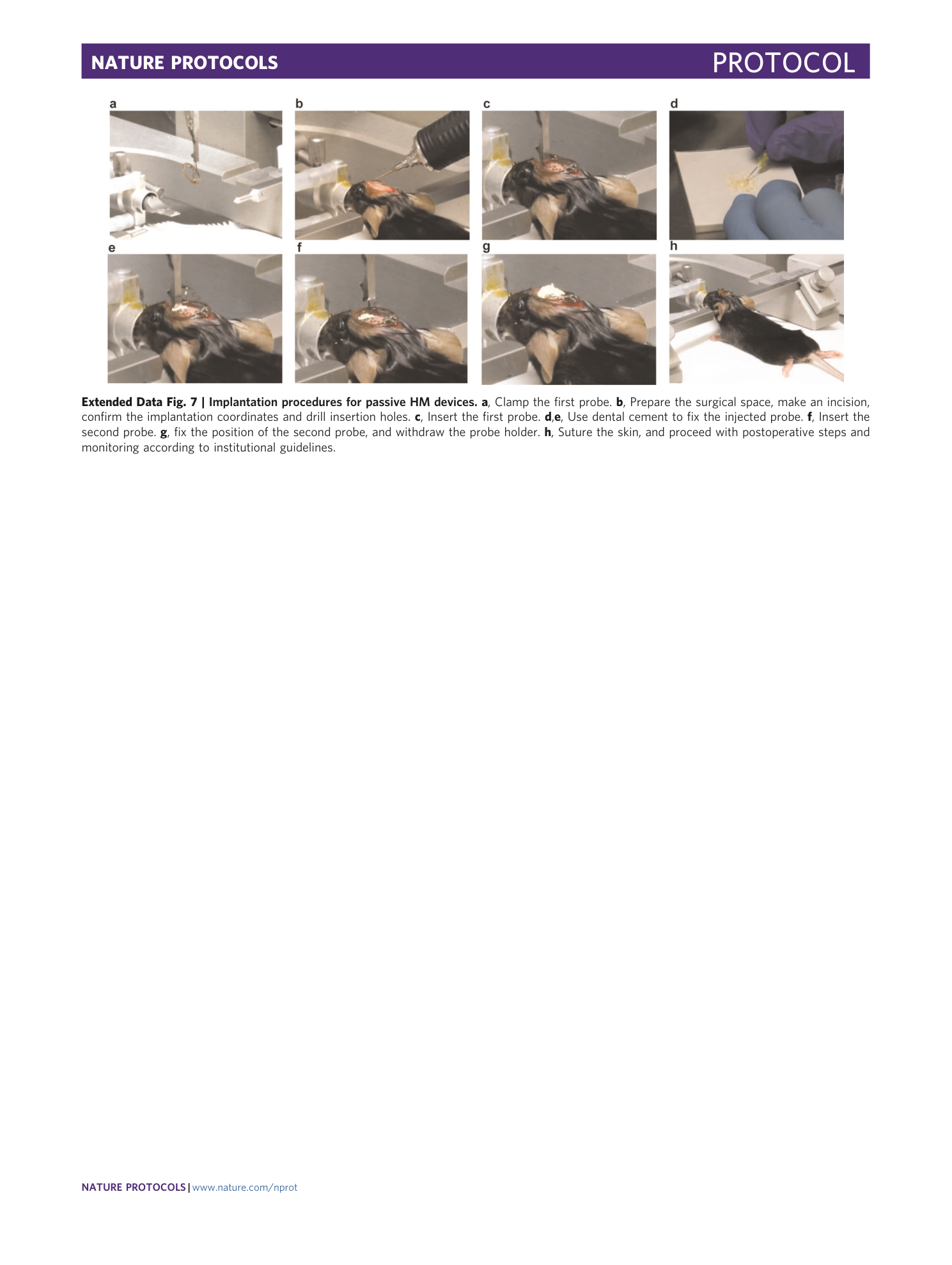 page-31