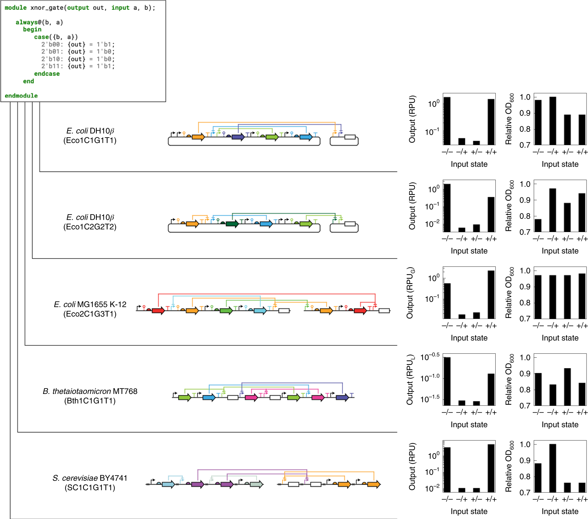 Fig. 7: An XNOR gate designed in all five libraries available in Cello 2.0.