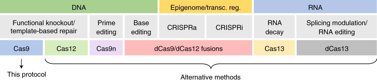 Fig. 3: Overview of CRISPR systems and applications.
