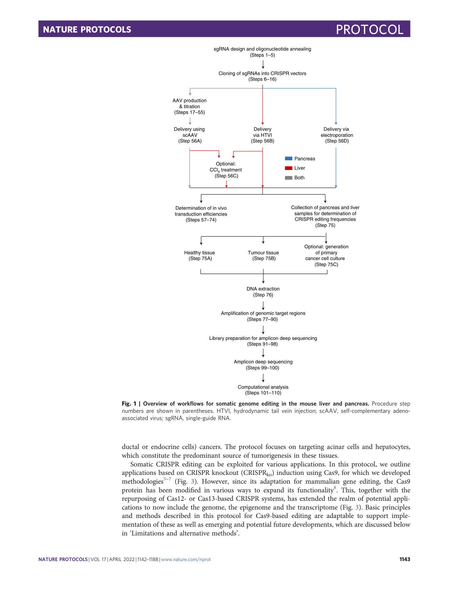 page-2