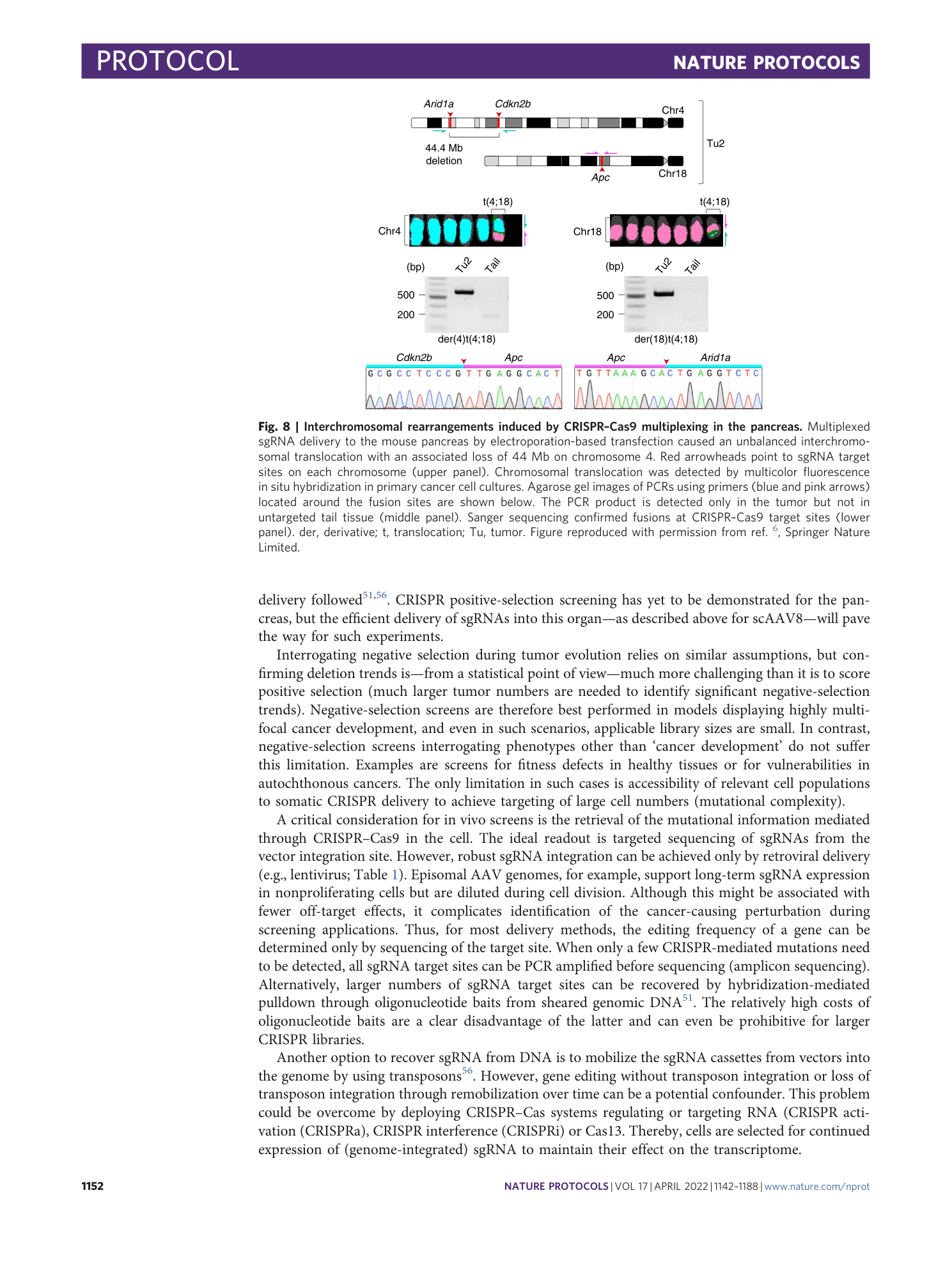 page-11