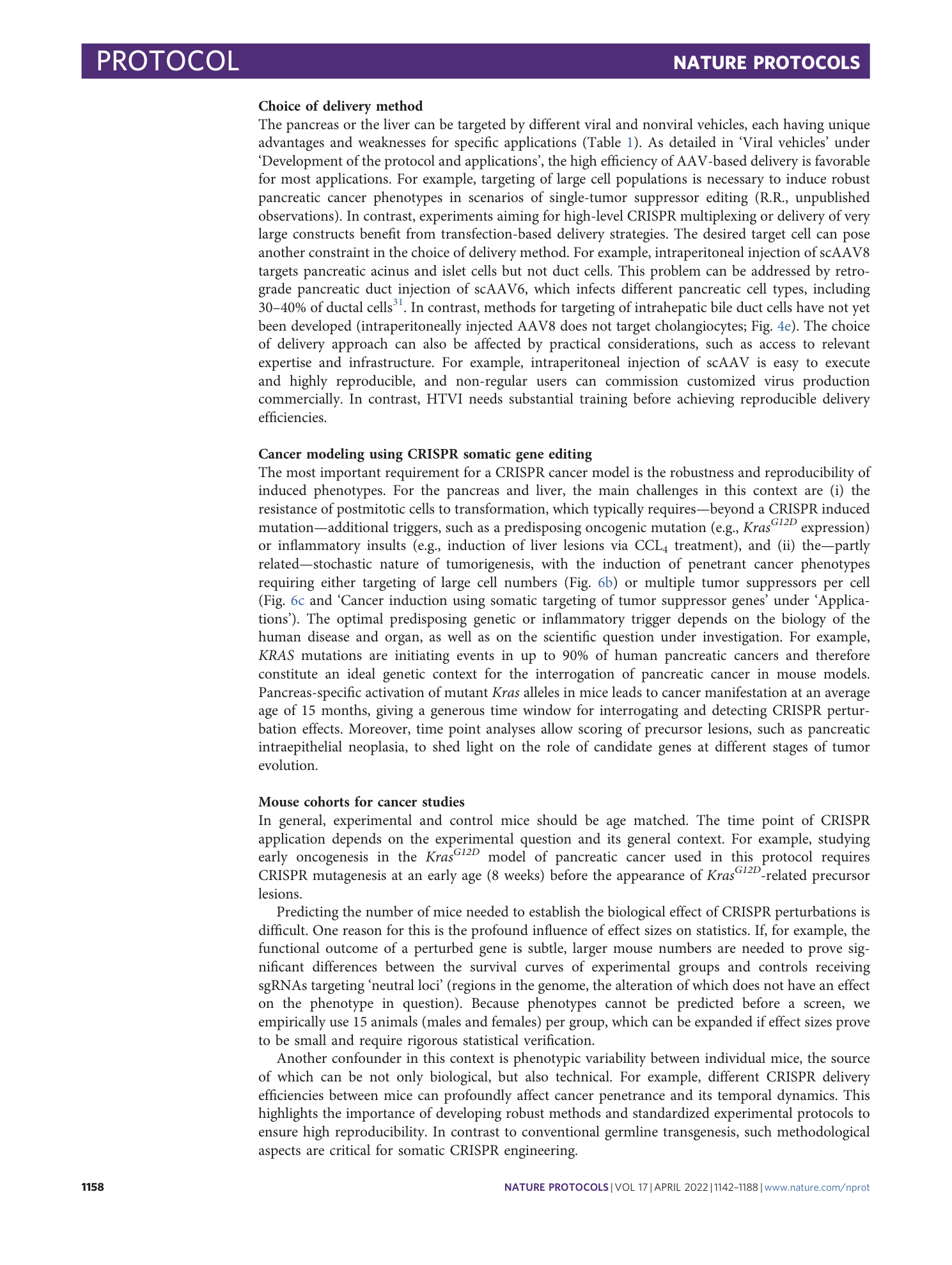 page-17
