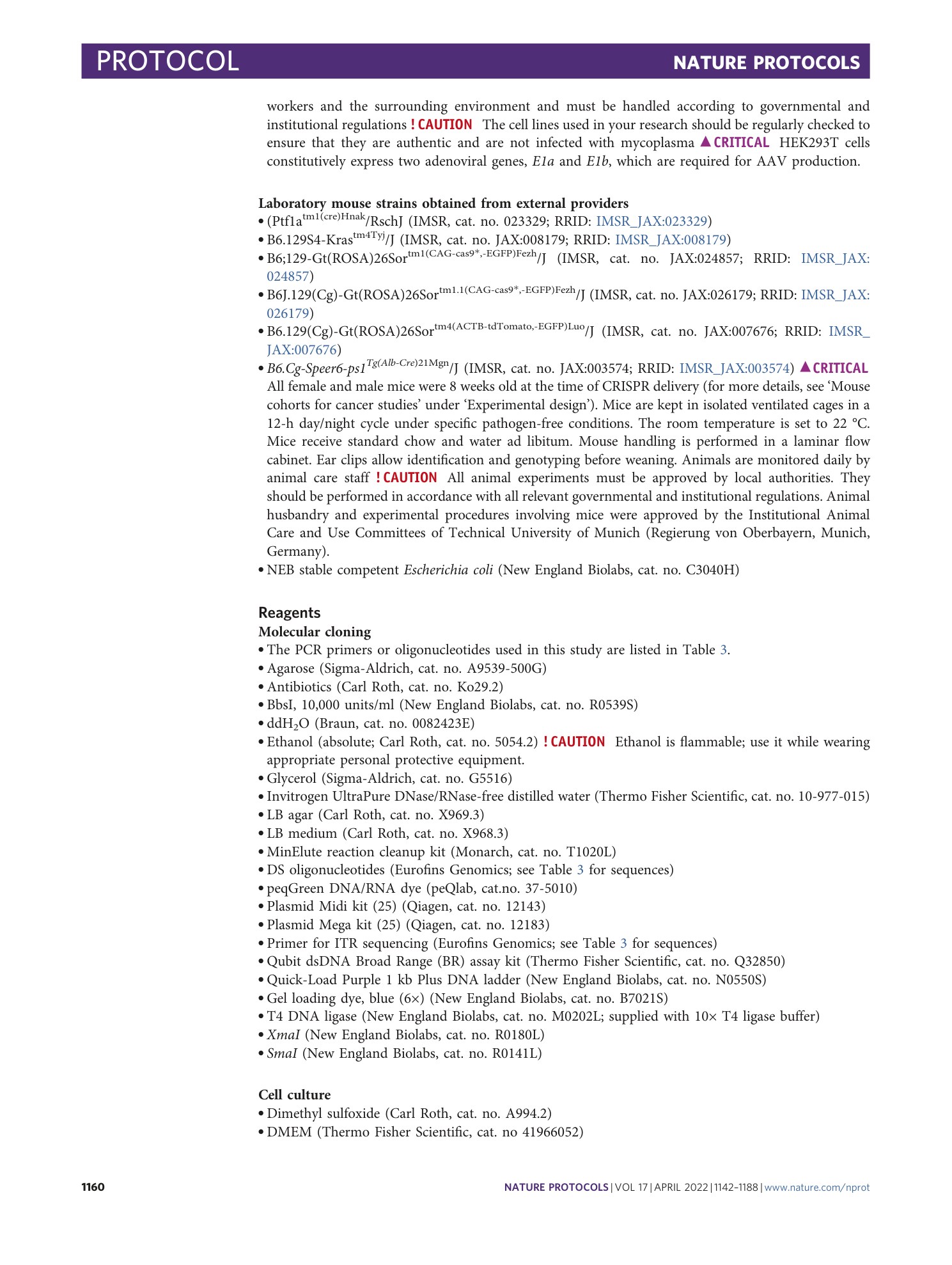 page-19