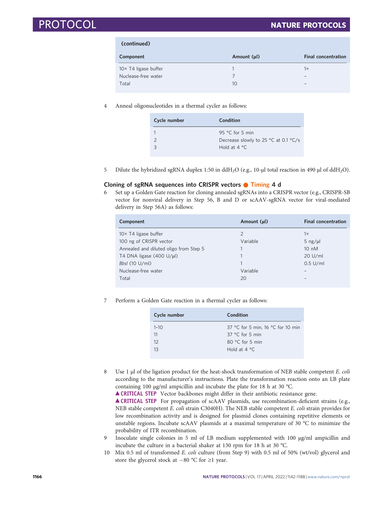 page-25