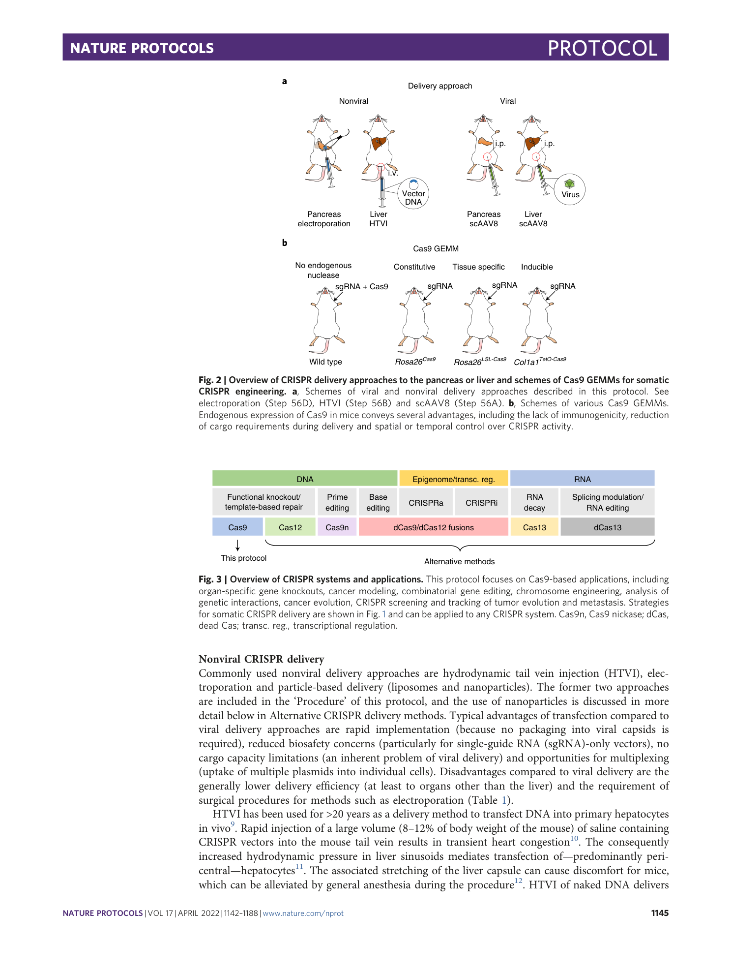 page-4