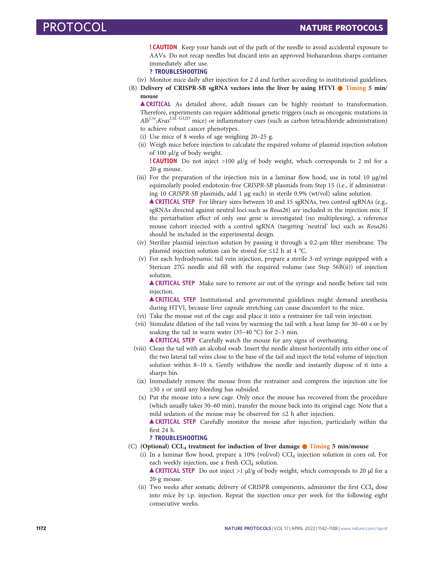 page-31