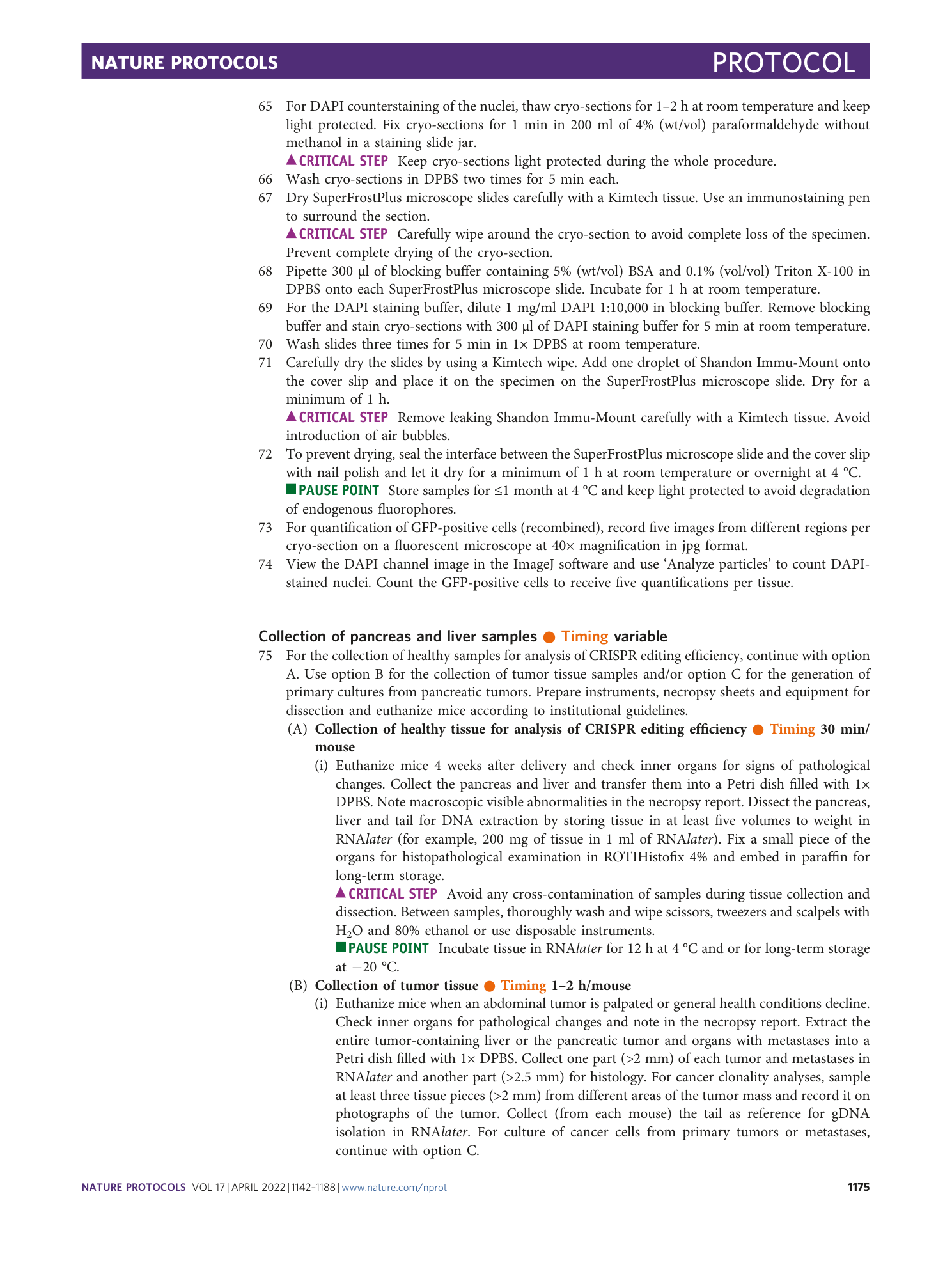 page-34