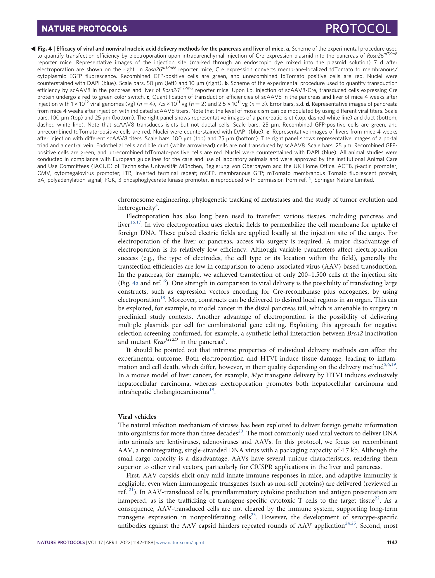 page-6