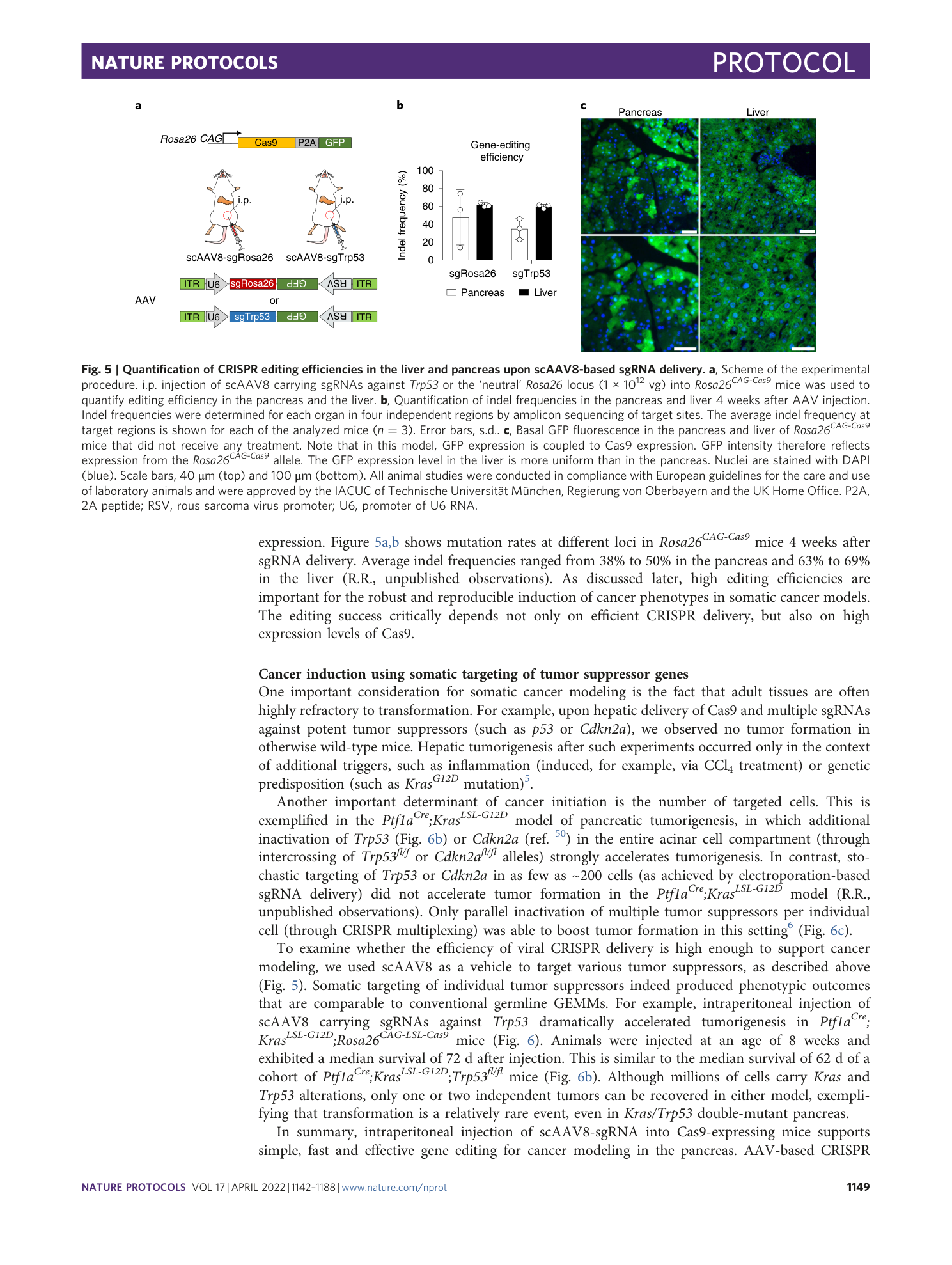 page-8