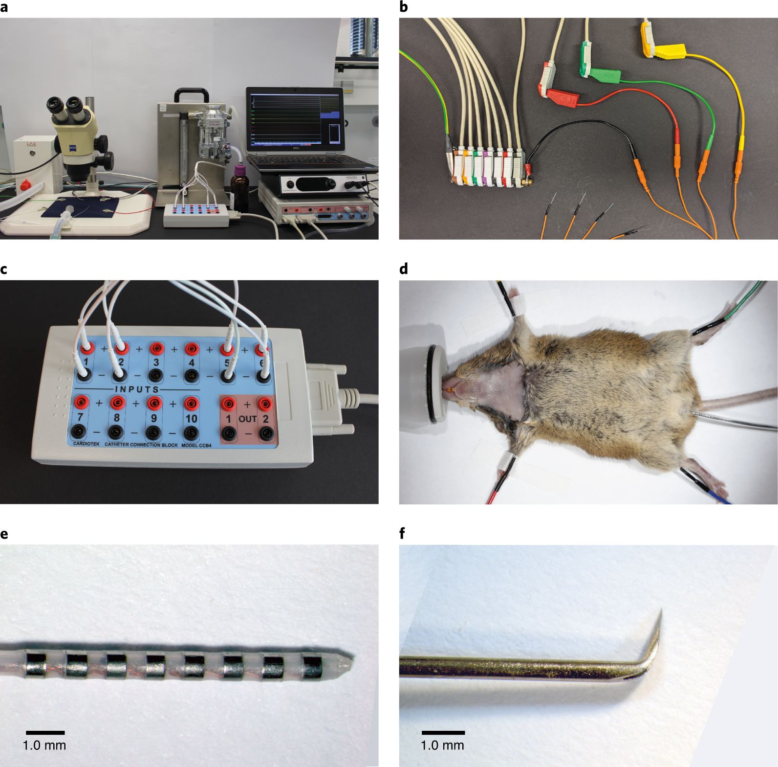 Fig. 1: Setup of the EPS system.