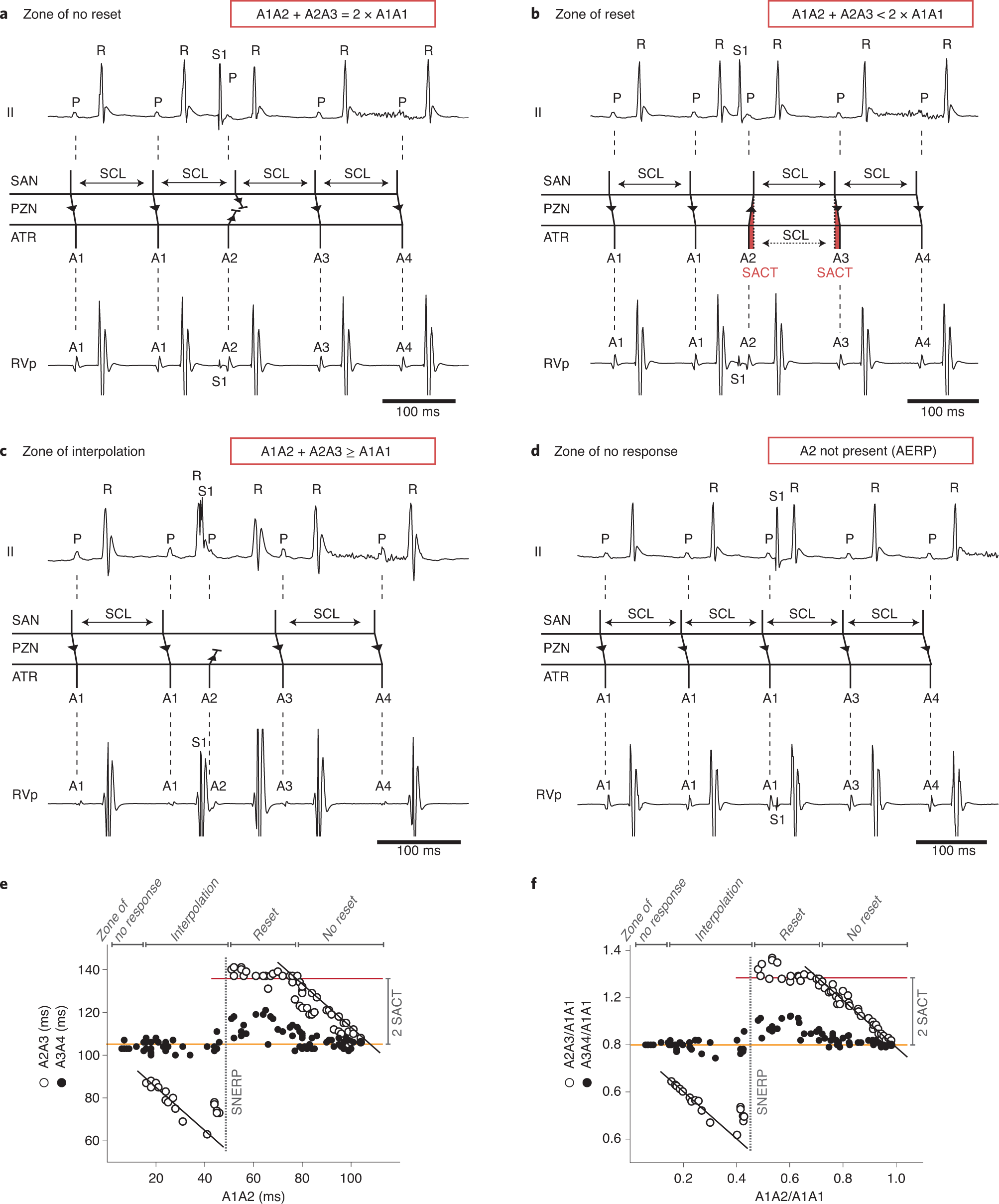 Fig. 7: SACT SM.