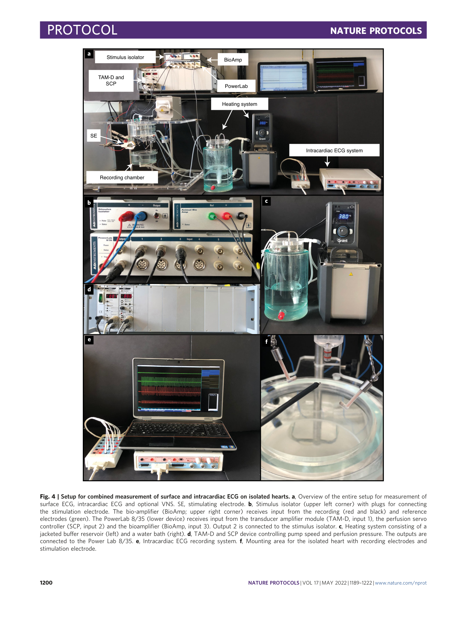 page-12