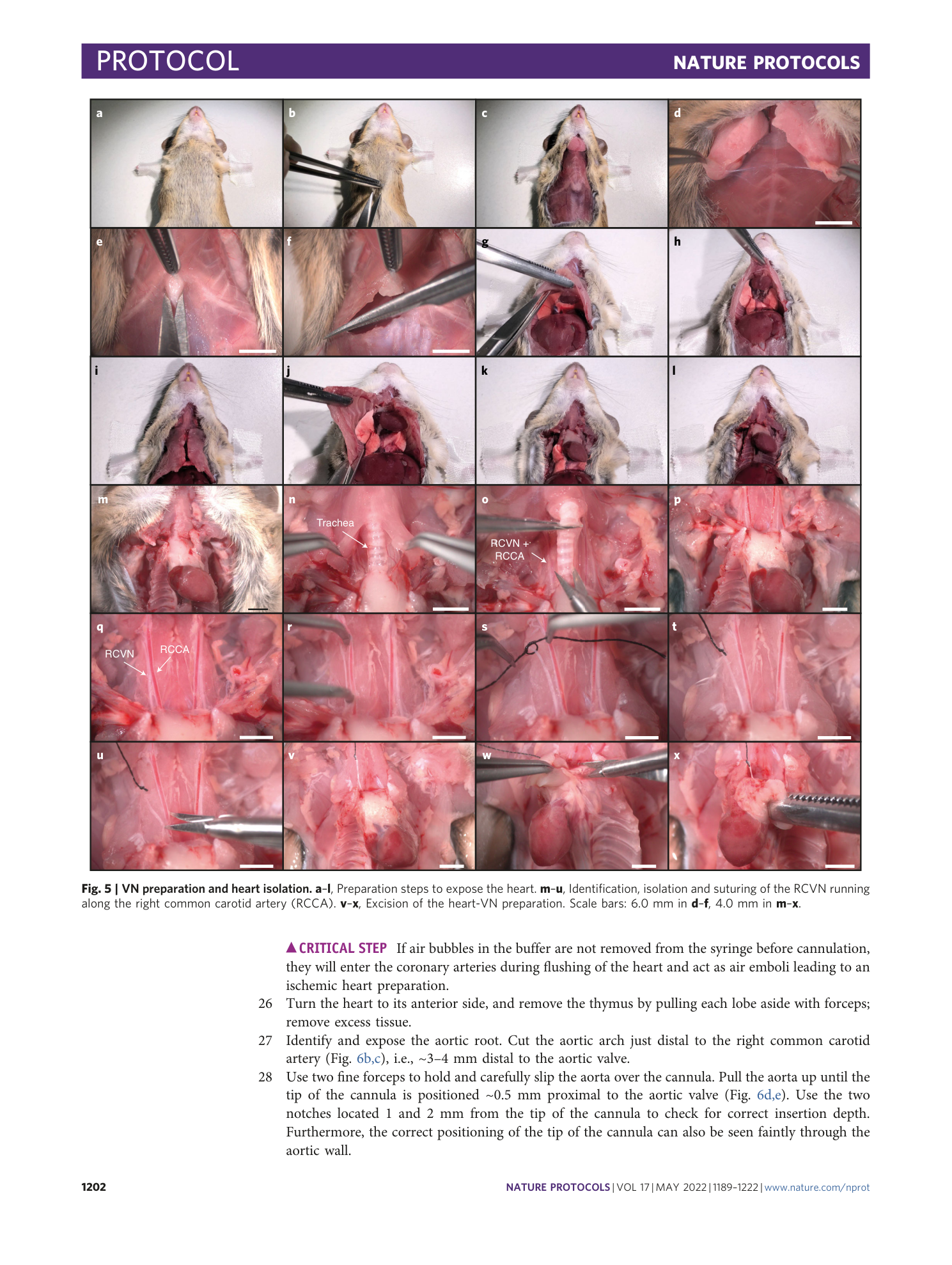 page-14