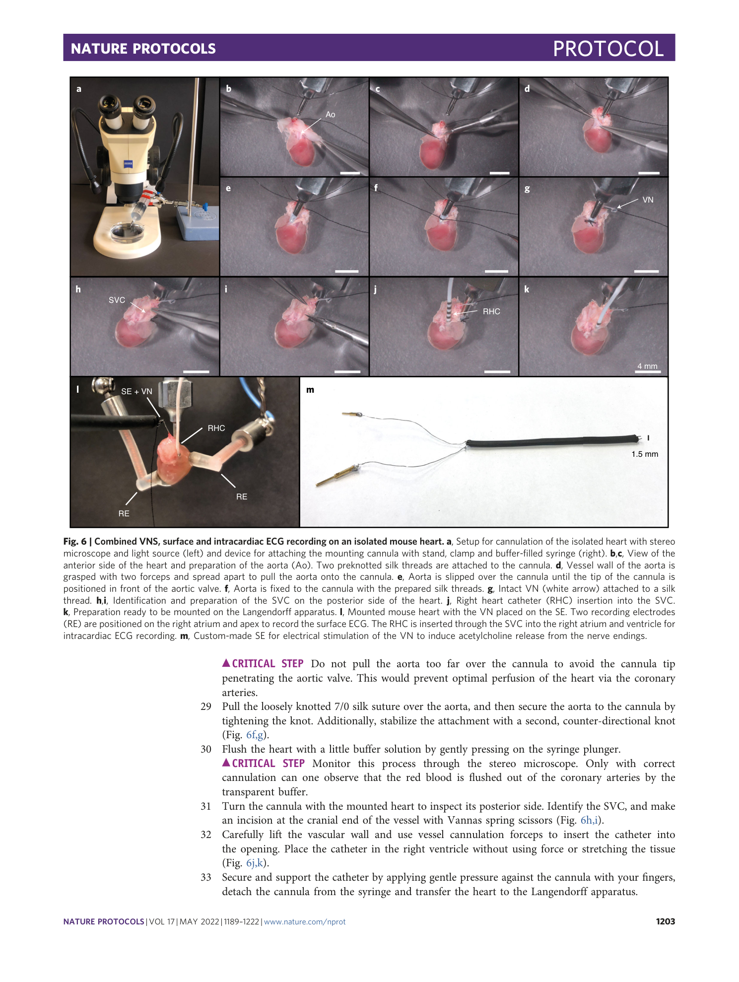 page-15