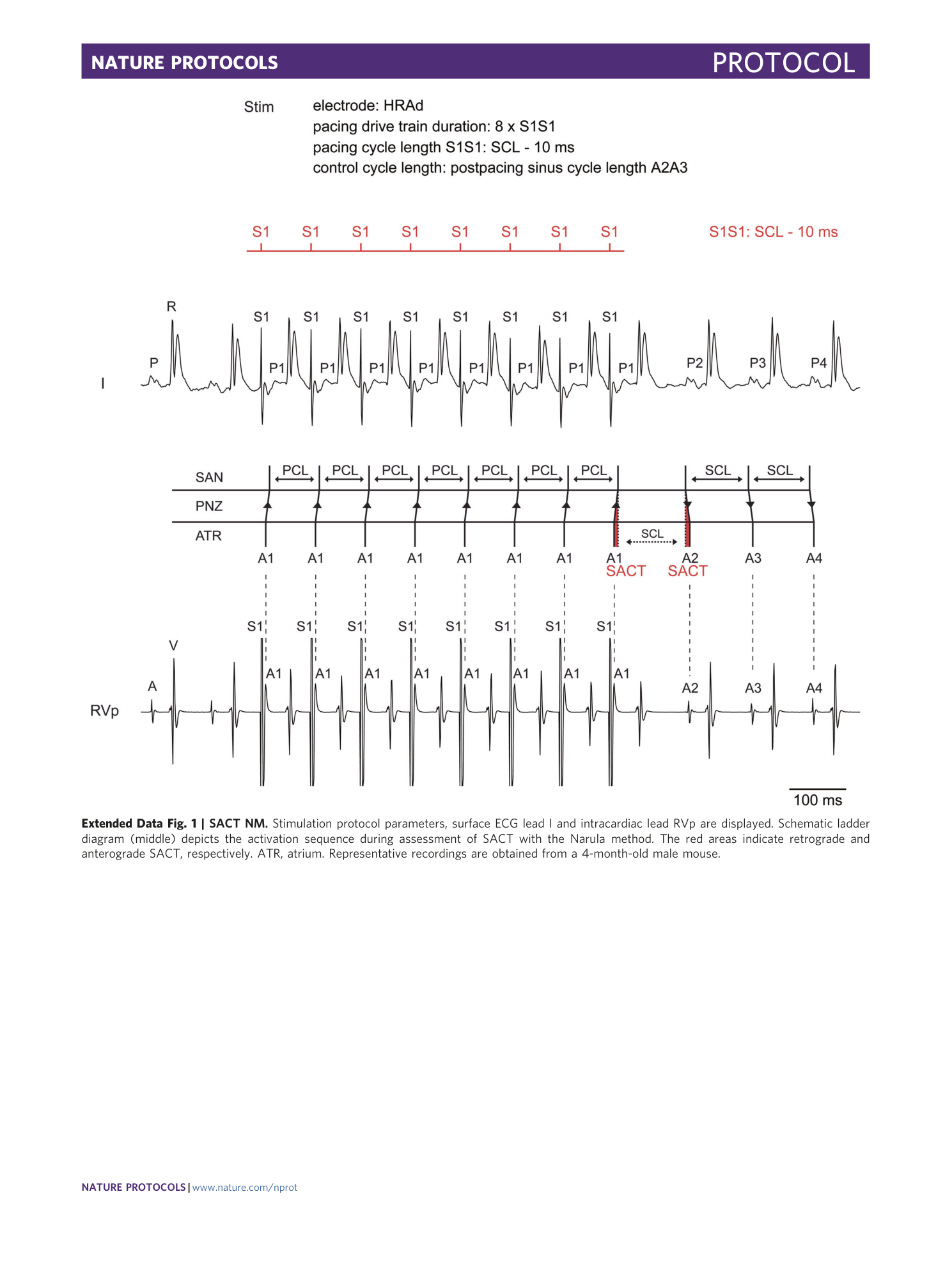 page-35