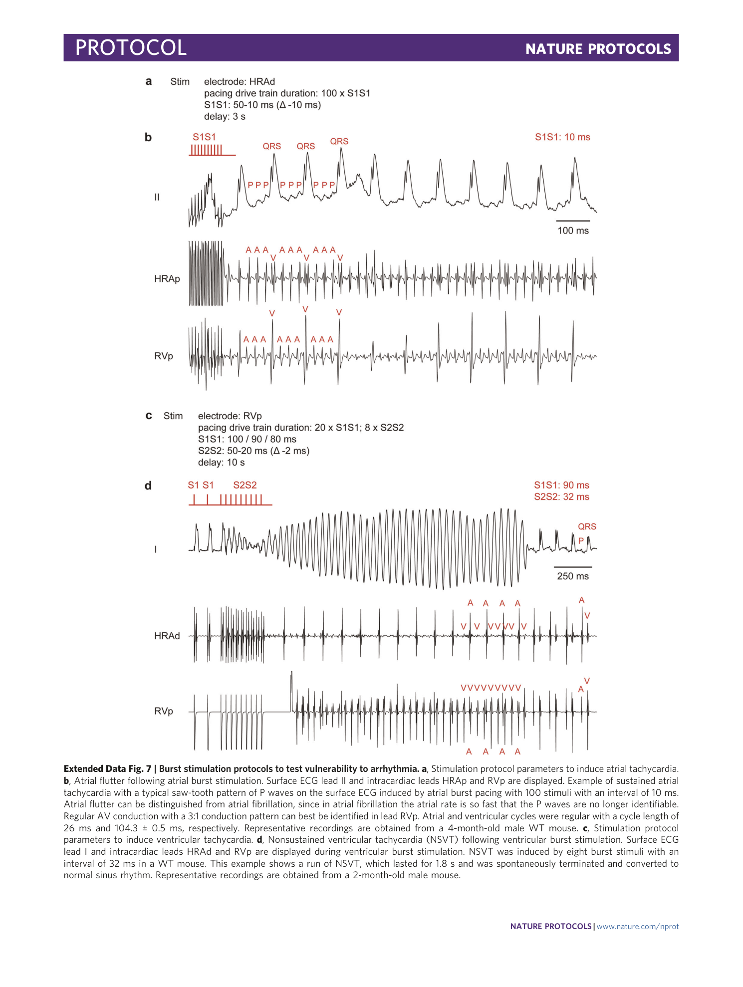 page-42