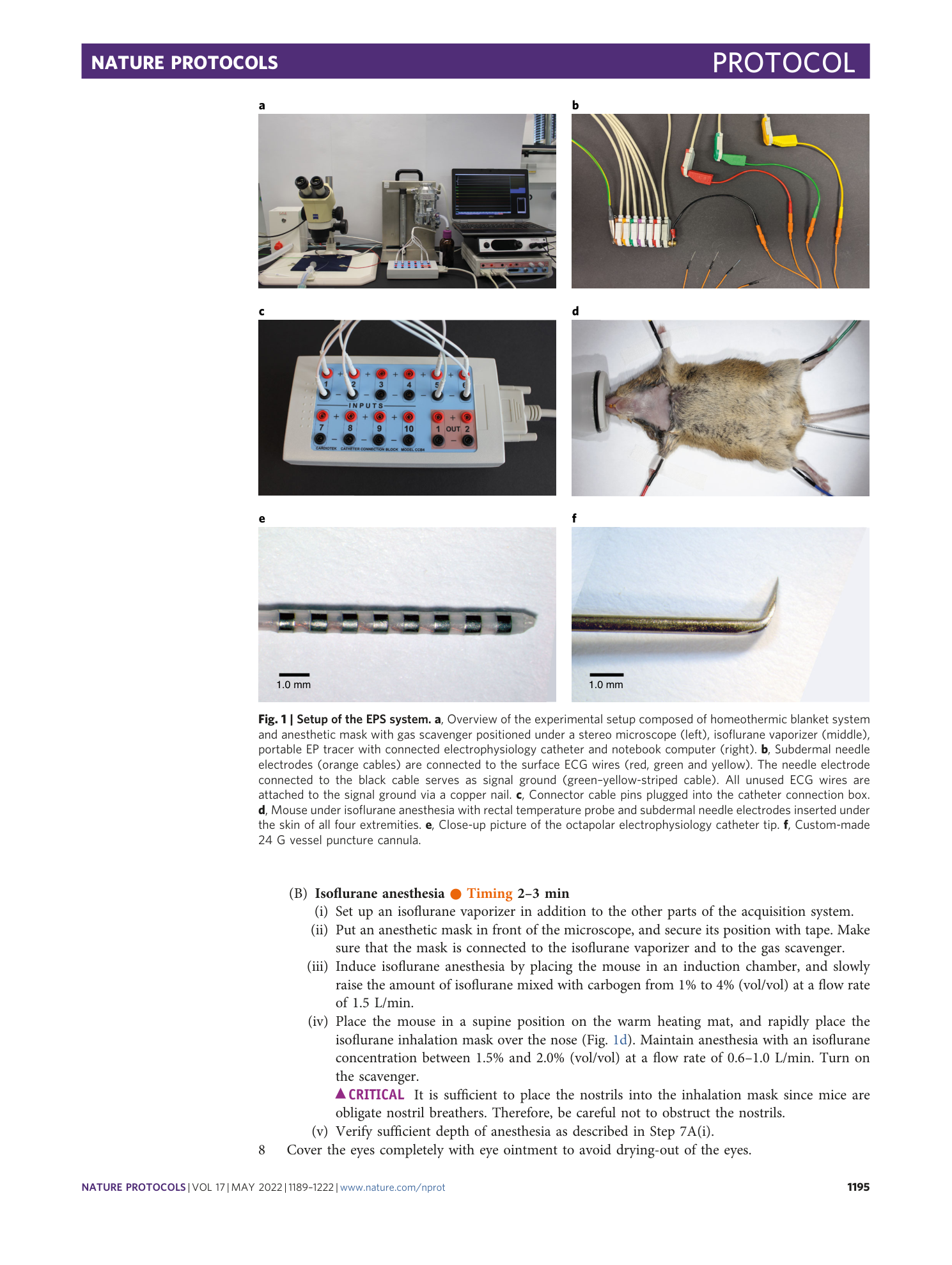 page-7