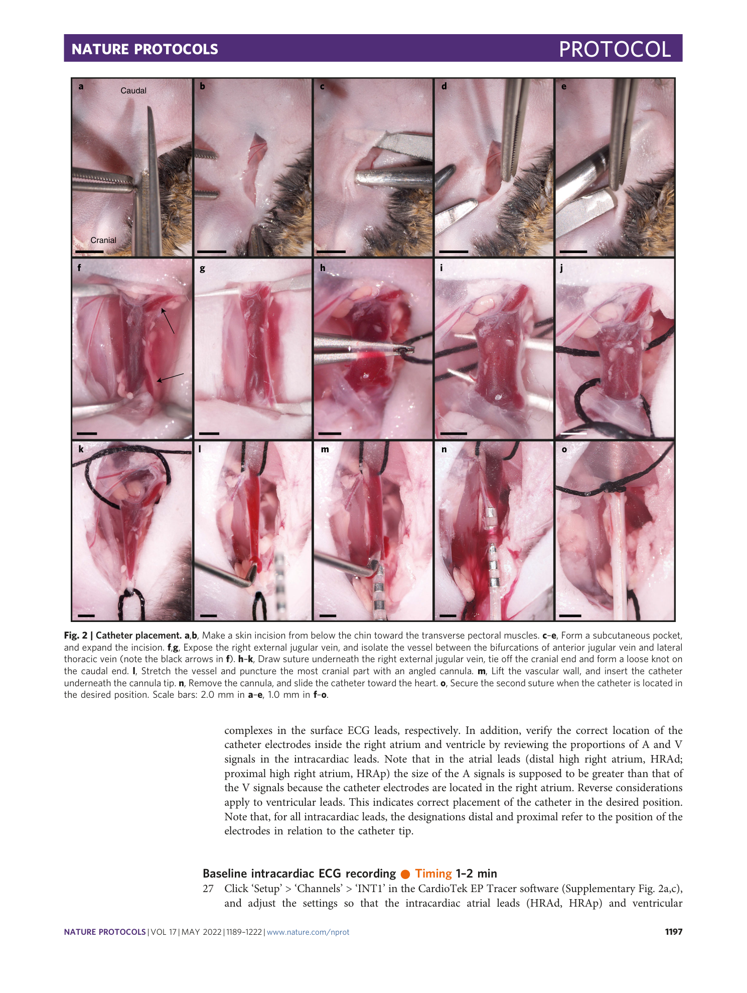 page-9
