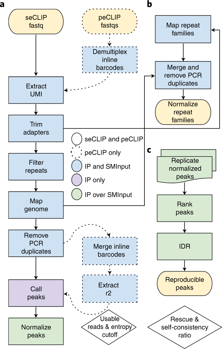 Fig. 3: Overview of the eCLIP bioinformatics workflow.
