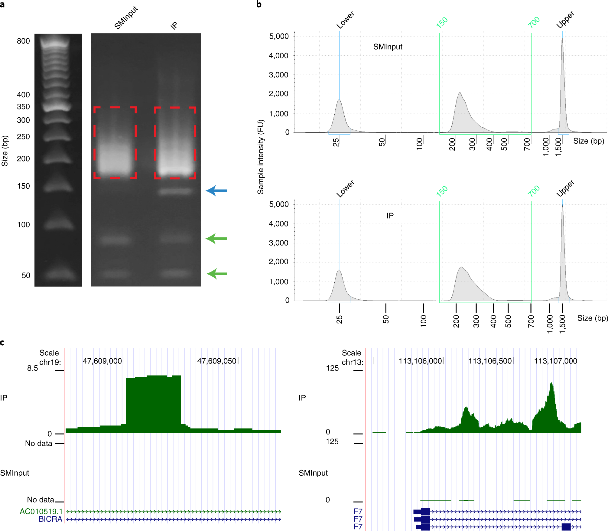 Fig. 6: Representative expected results from an seCLIP experiment and analysis.