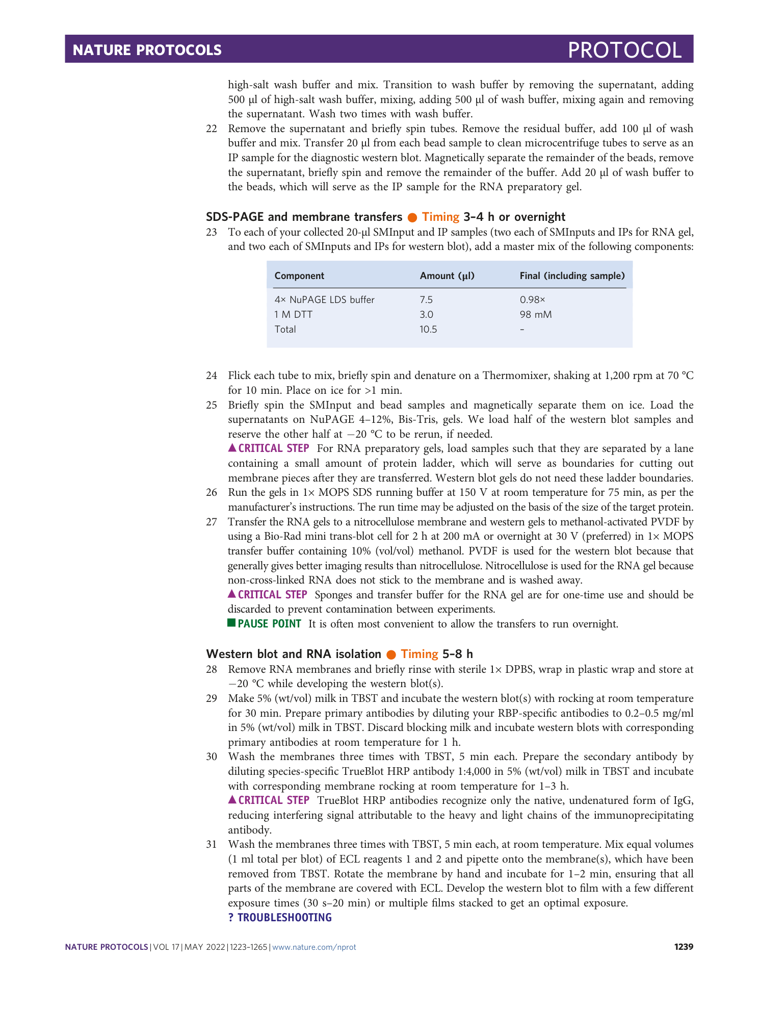 page-17