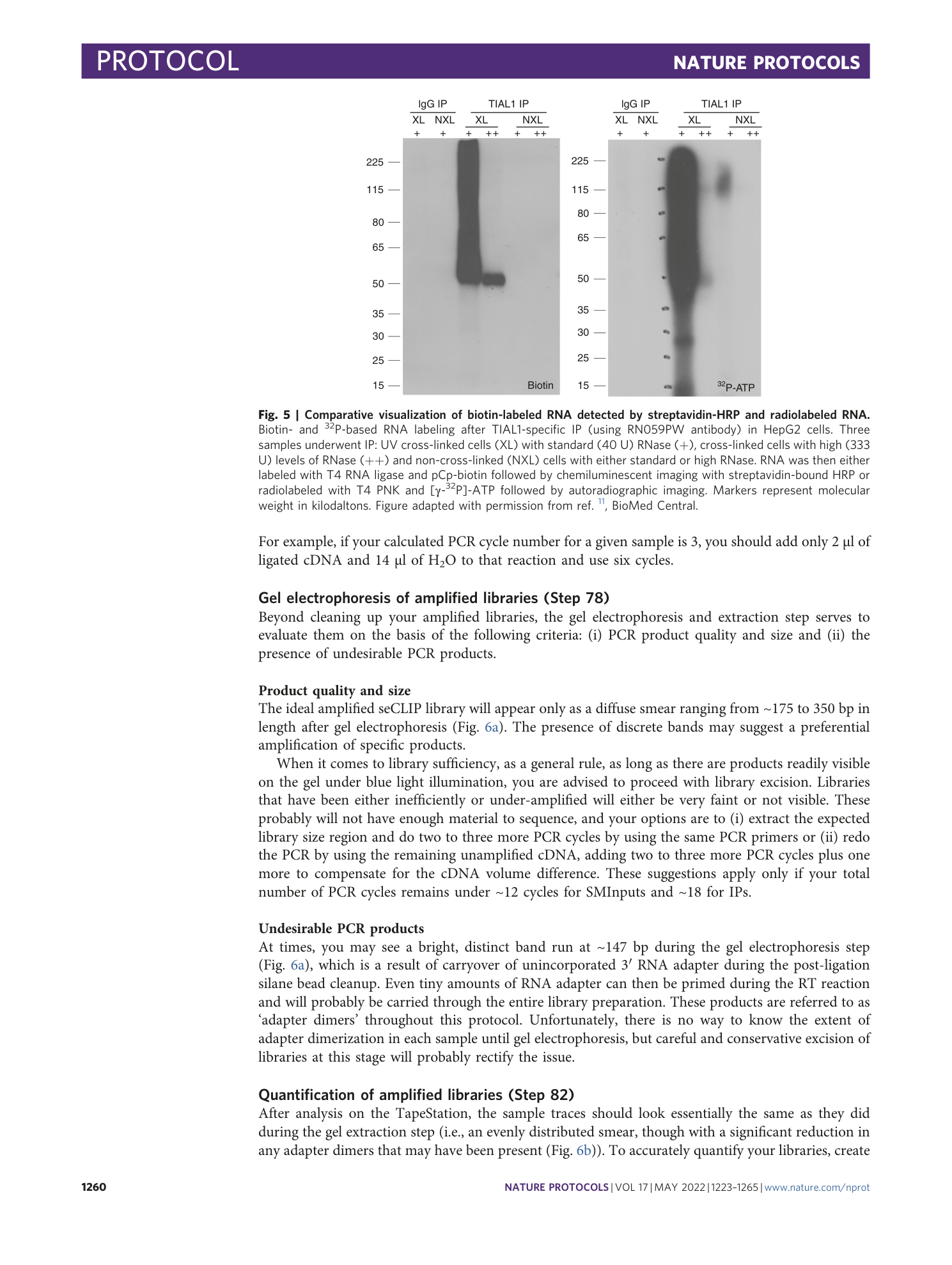 page-38