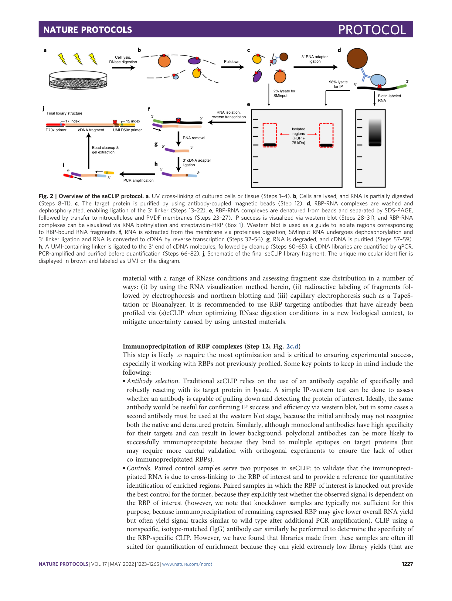 page-5