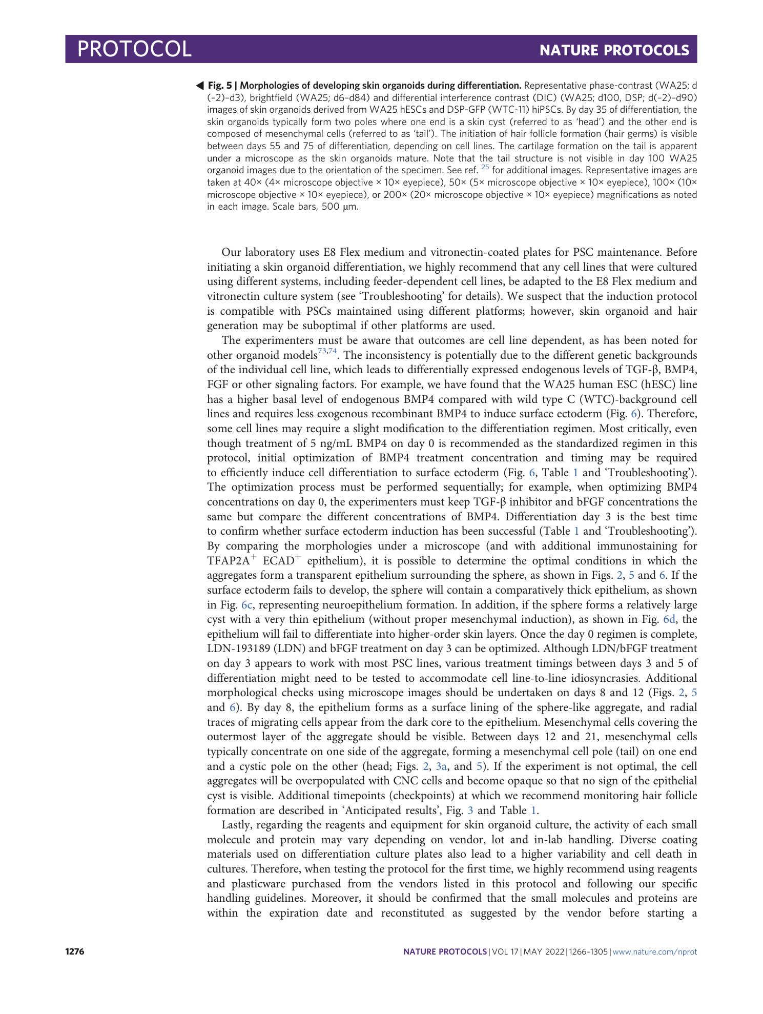 page-11