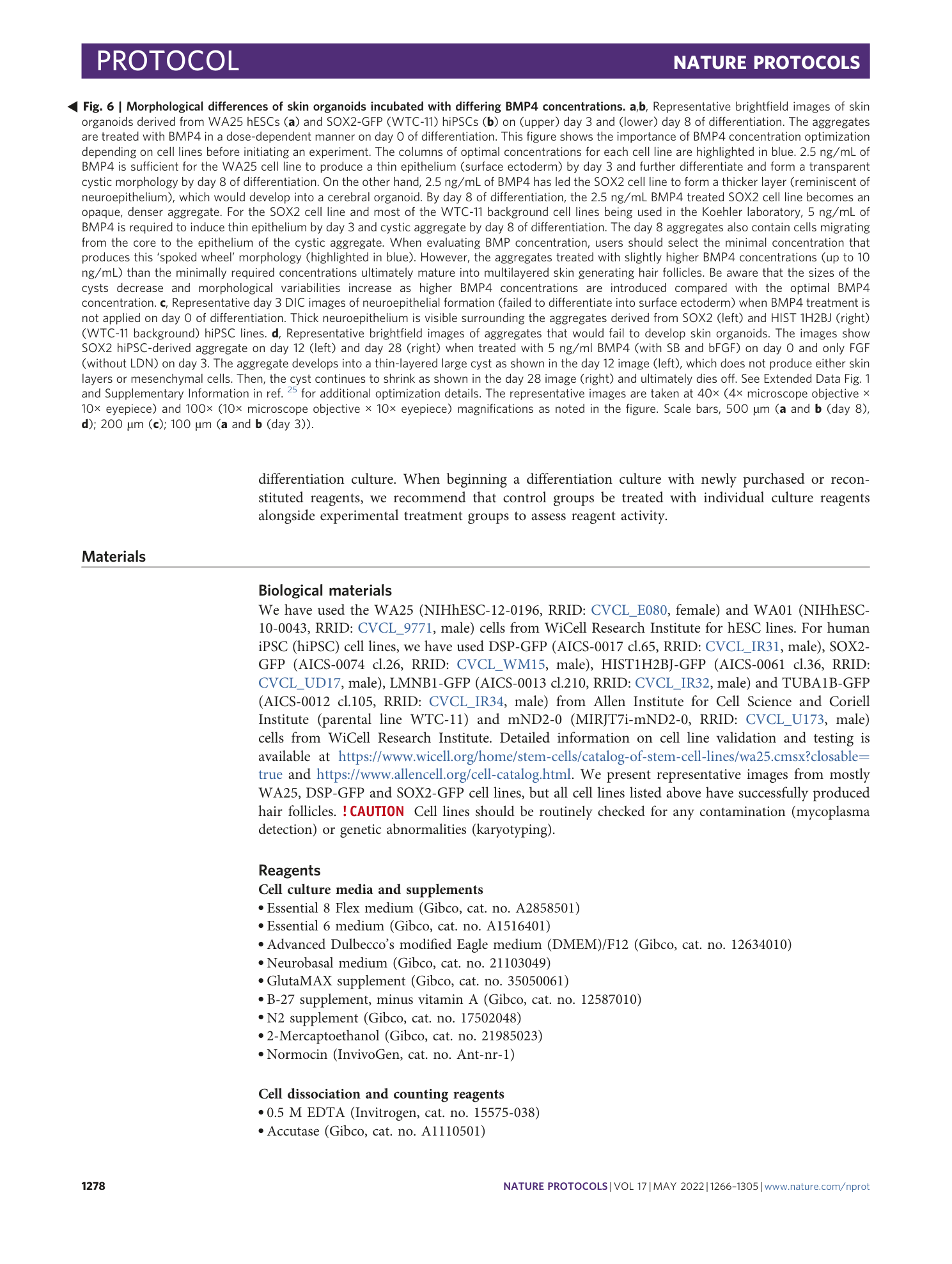 page-13