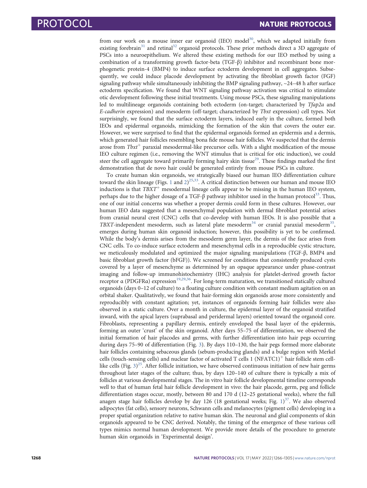 page-3