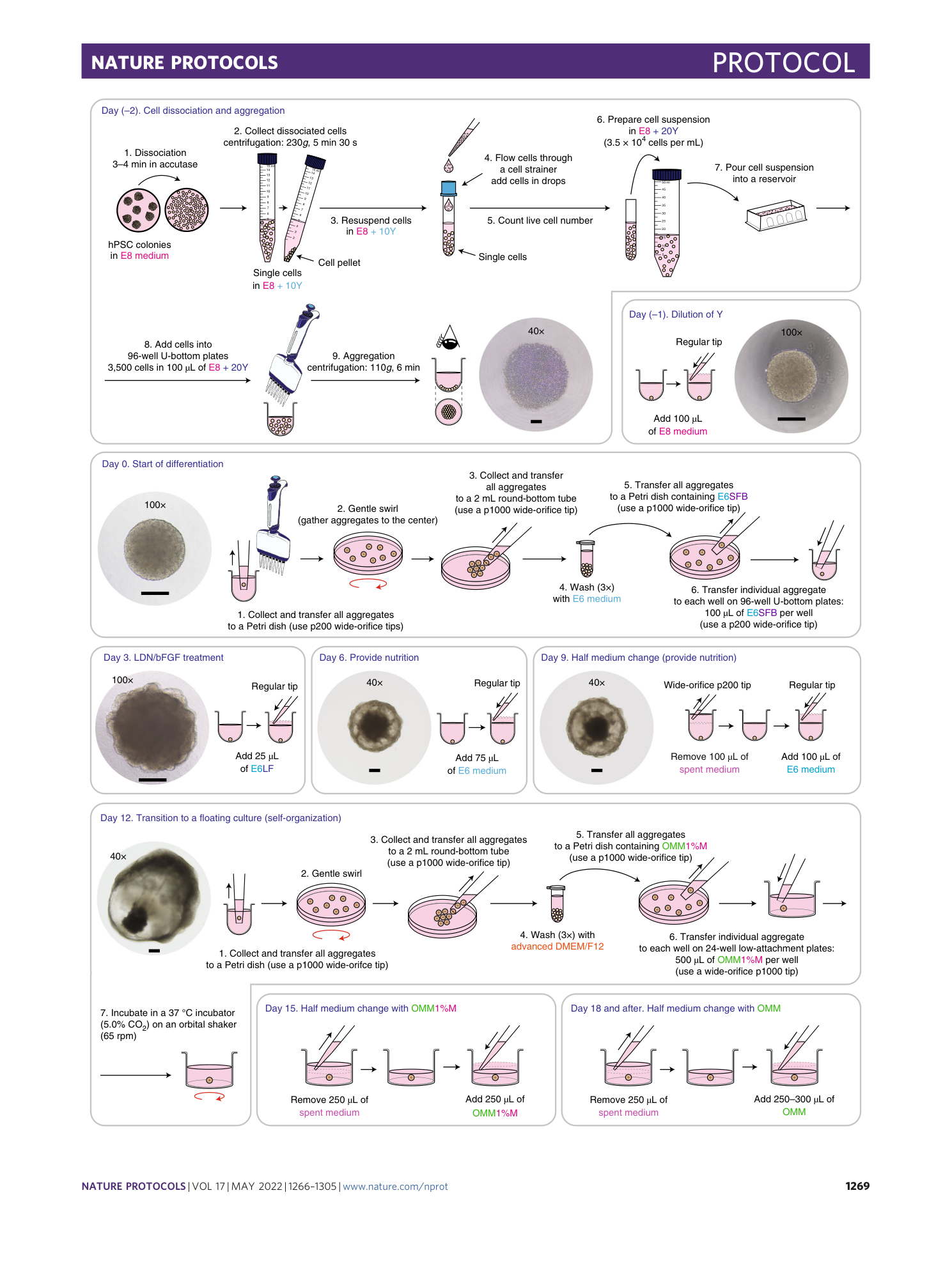 page-4