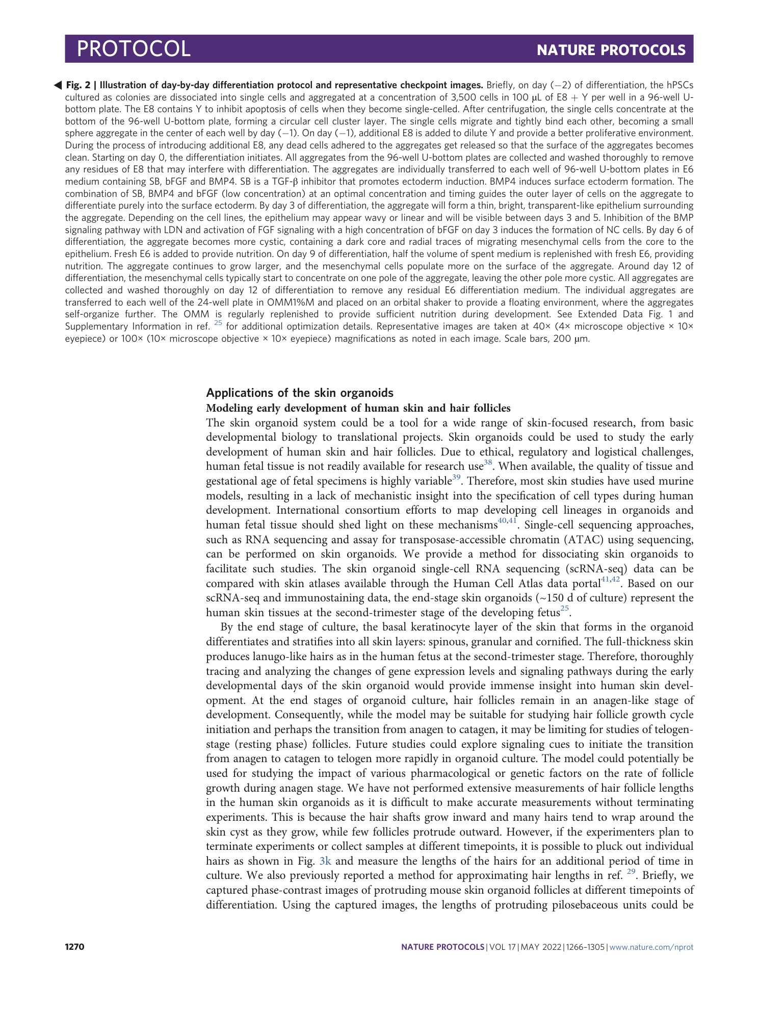 page-5