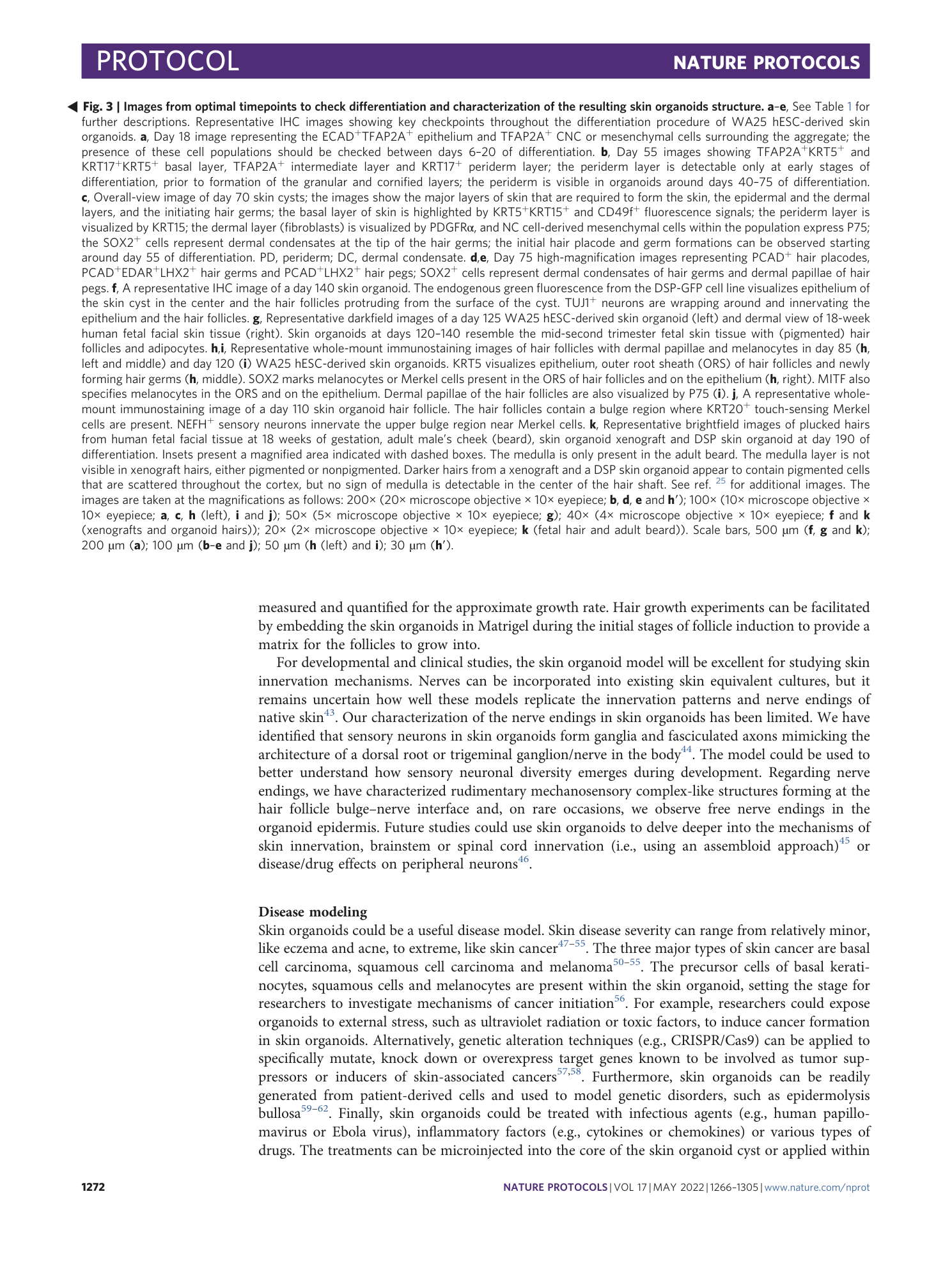 page-7