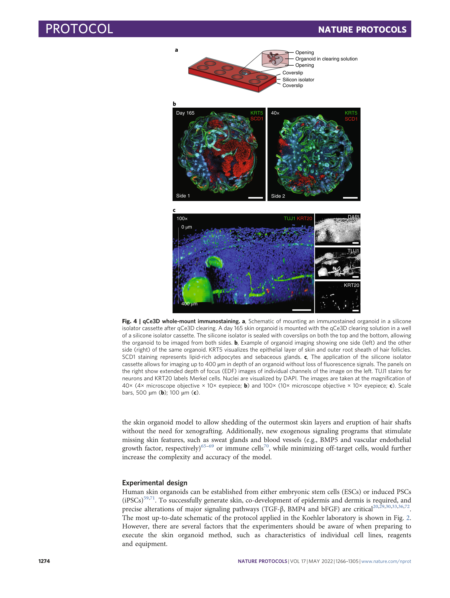 page-9