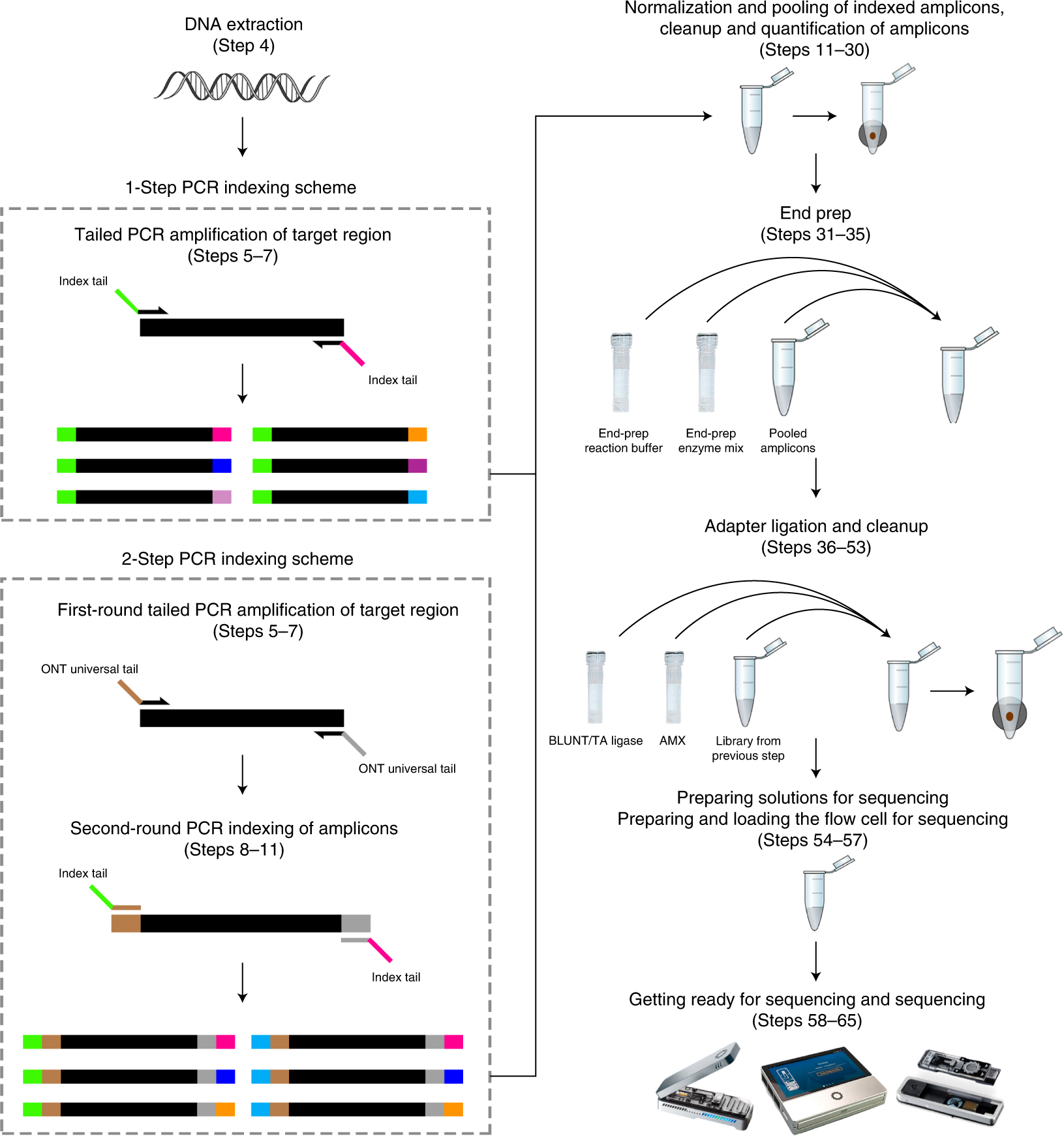Fig. 2: Illustration of the steps involved in the laboratory part of the protocol.