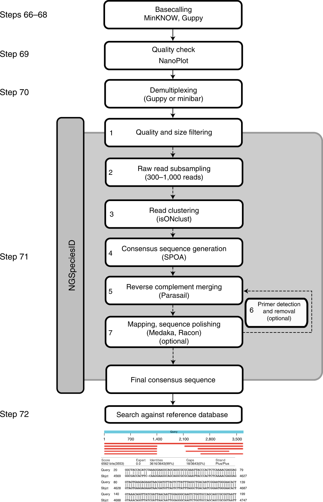 Fig. 3: Illustration of the steps involved in the bioinformatic part of the protocol.