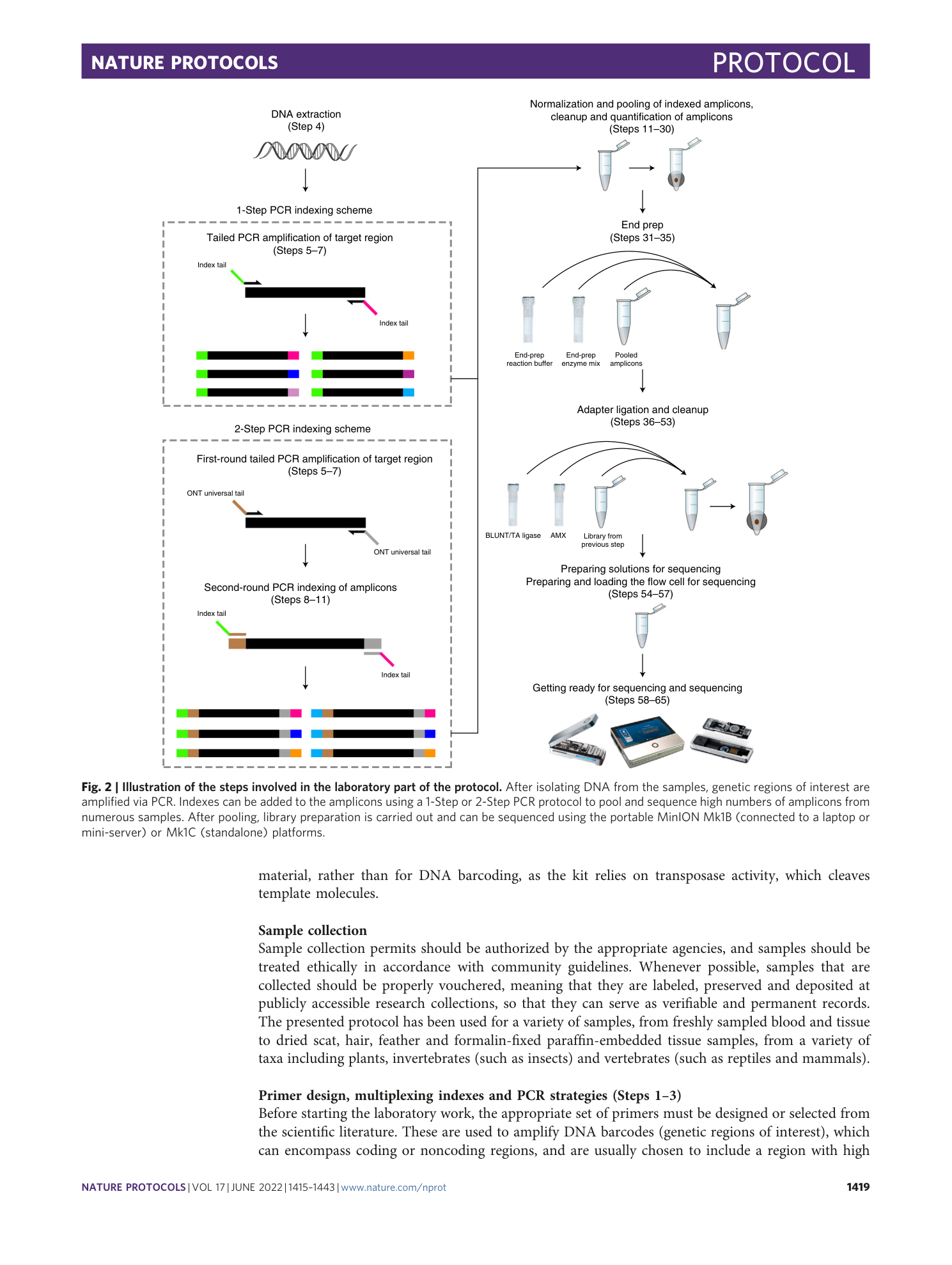 page-5