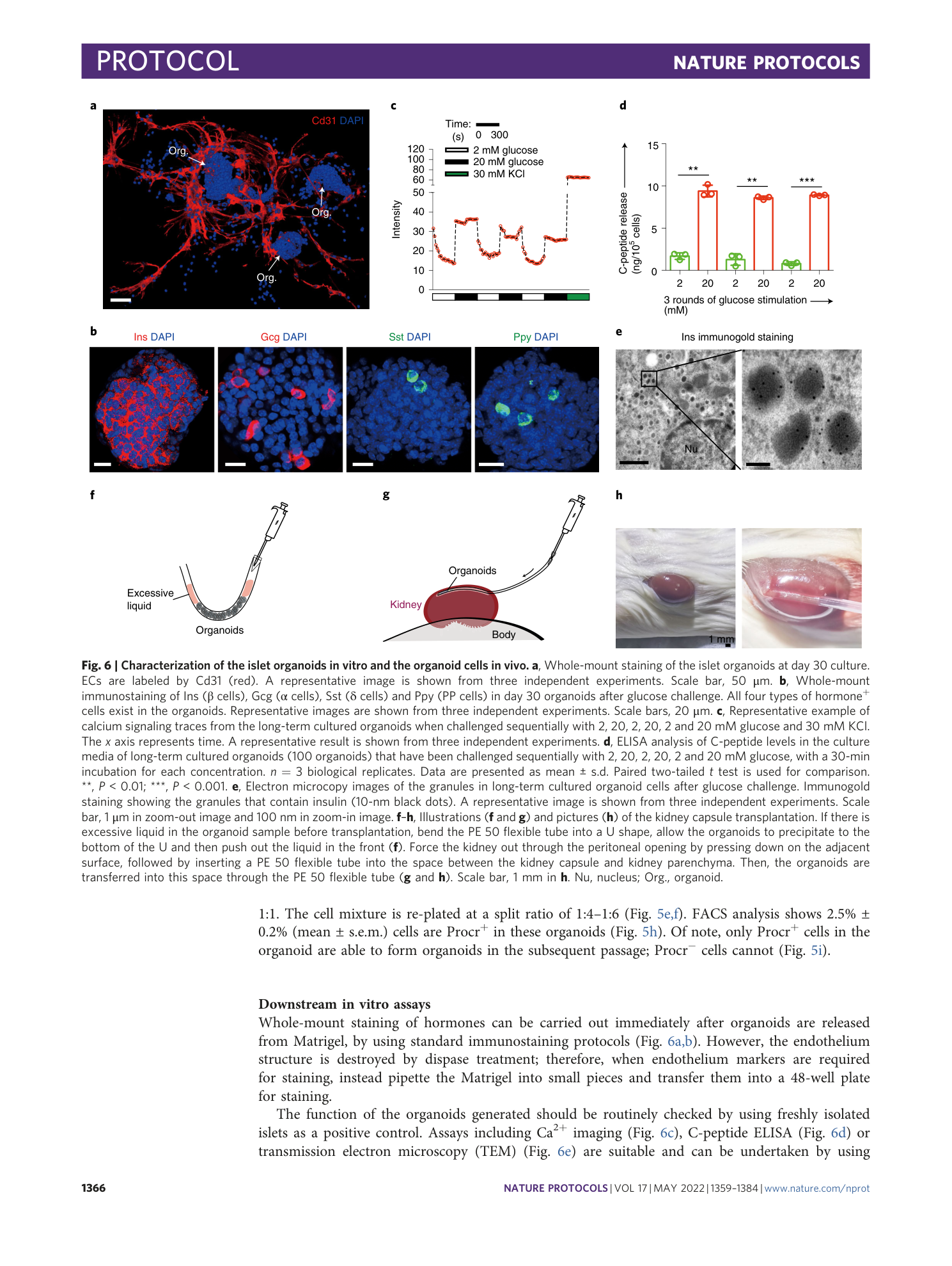 page-8