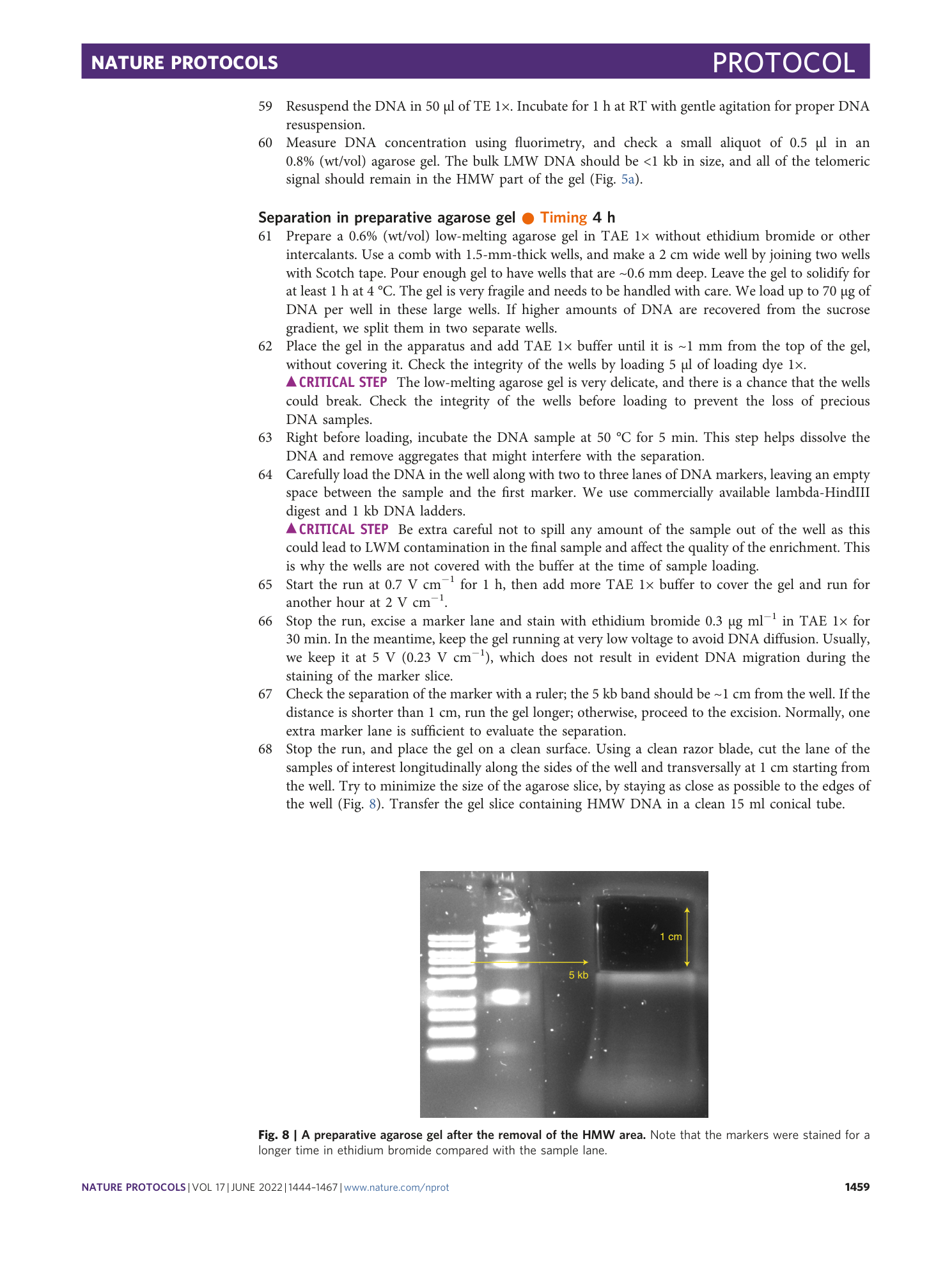 page-16