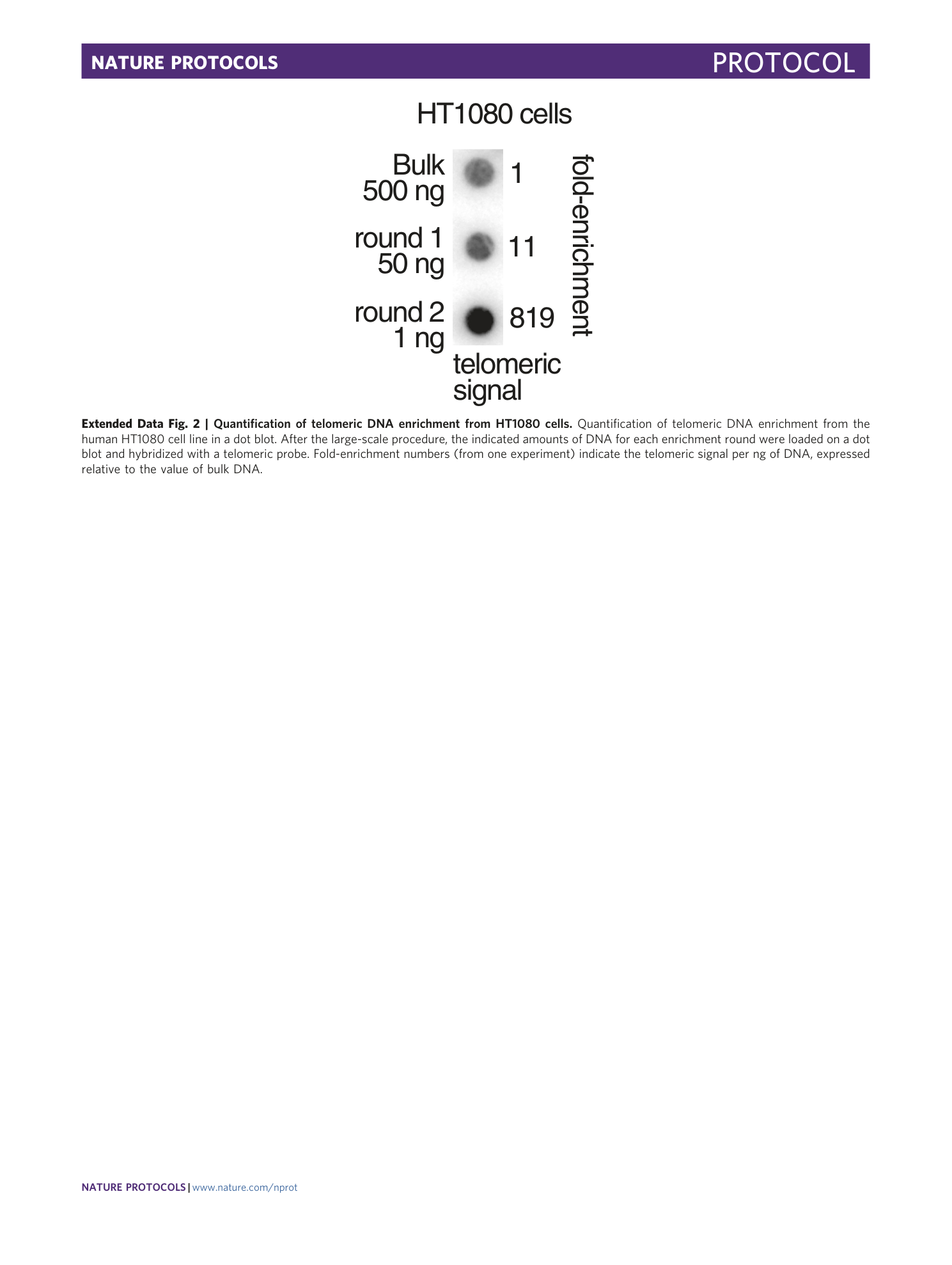 page-26