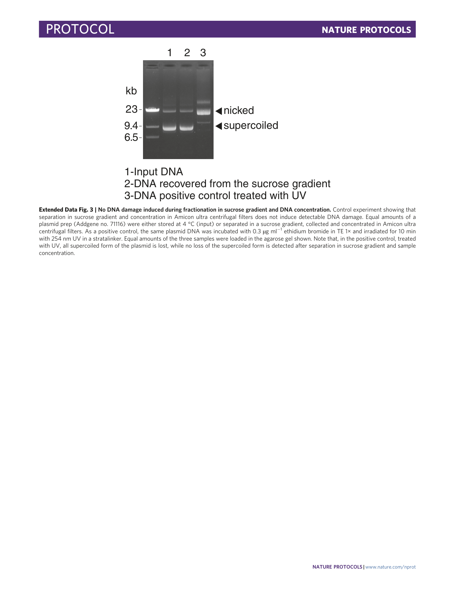 page-27