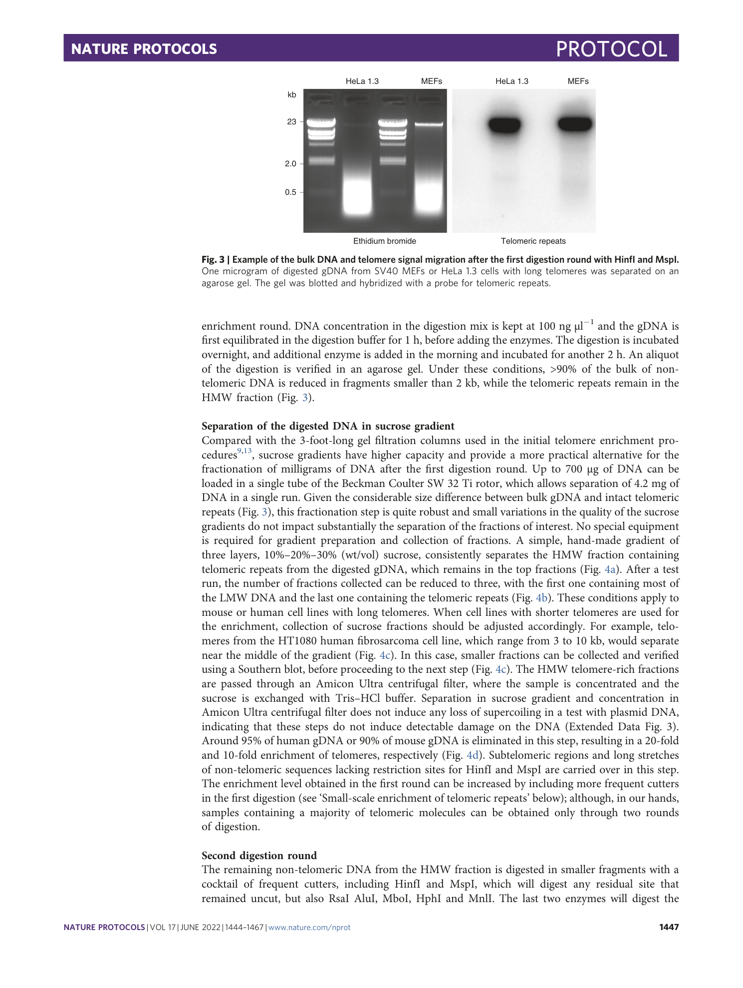 page-4